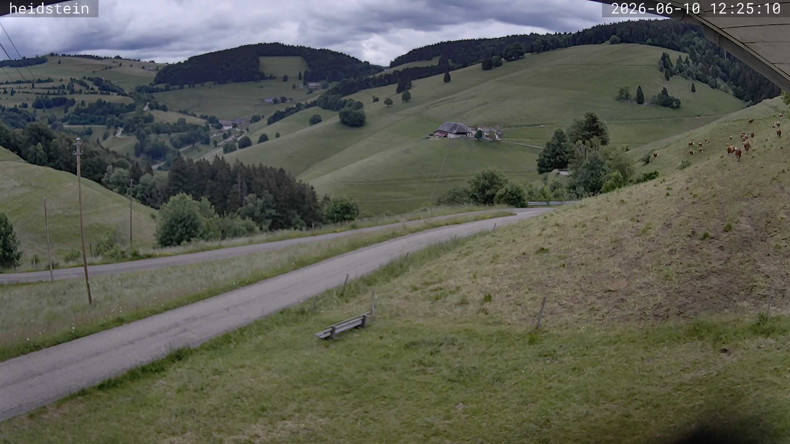Archived image Webcam Münstertal-Wieden: Heidstein Lift