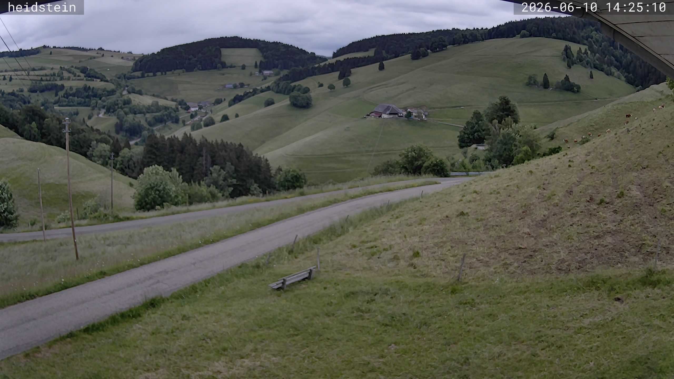 Archived image Webcam Münstertal-Wieden: Heidstein Lift