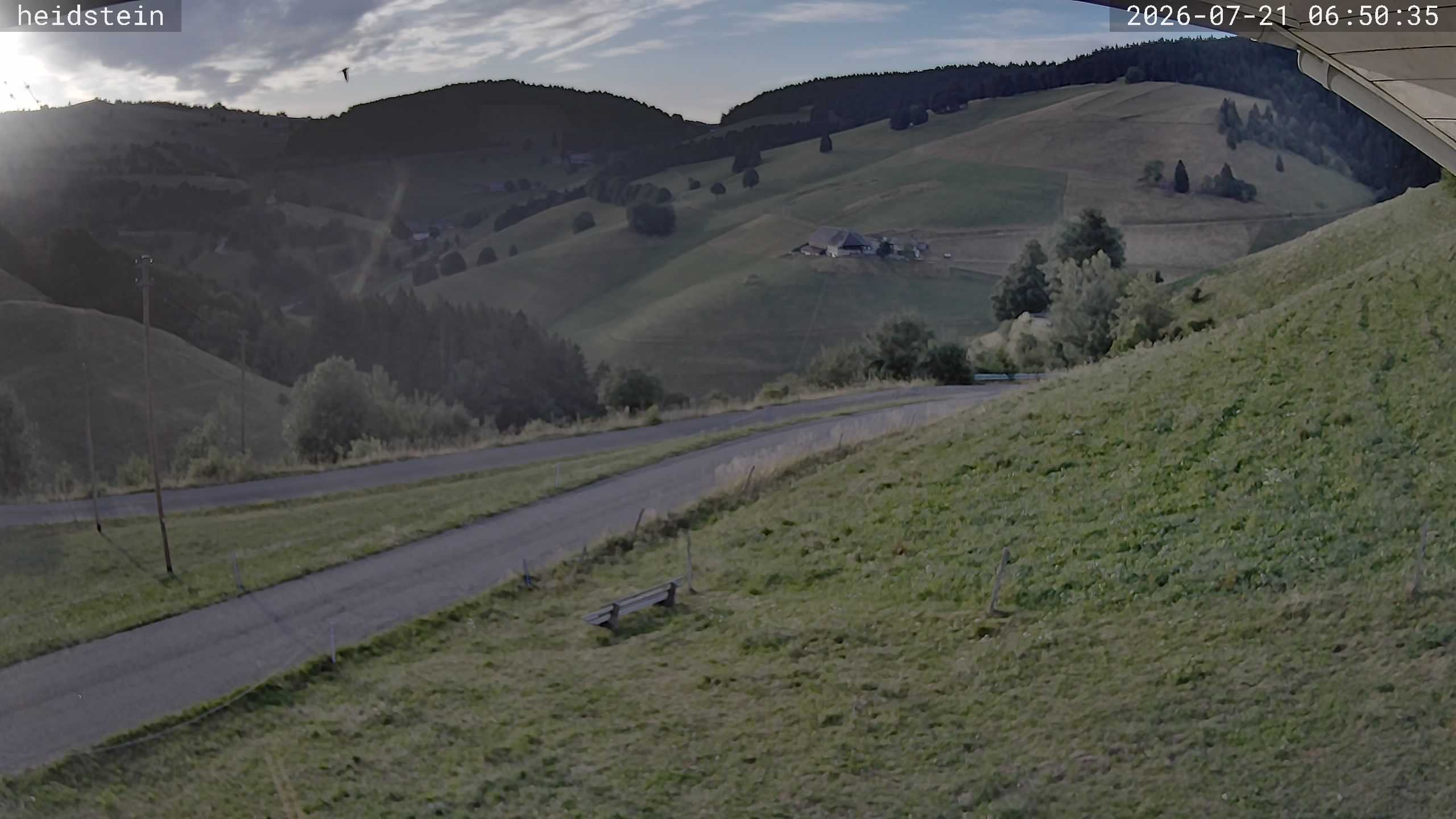Archiv Foto Webcam Münstertal-Wieden: Heidsteinlift