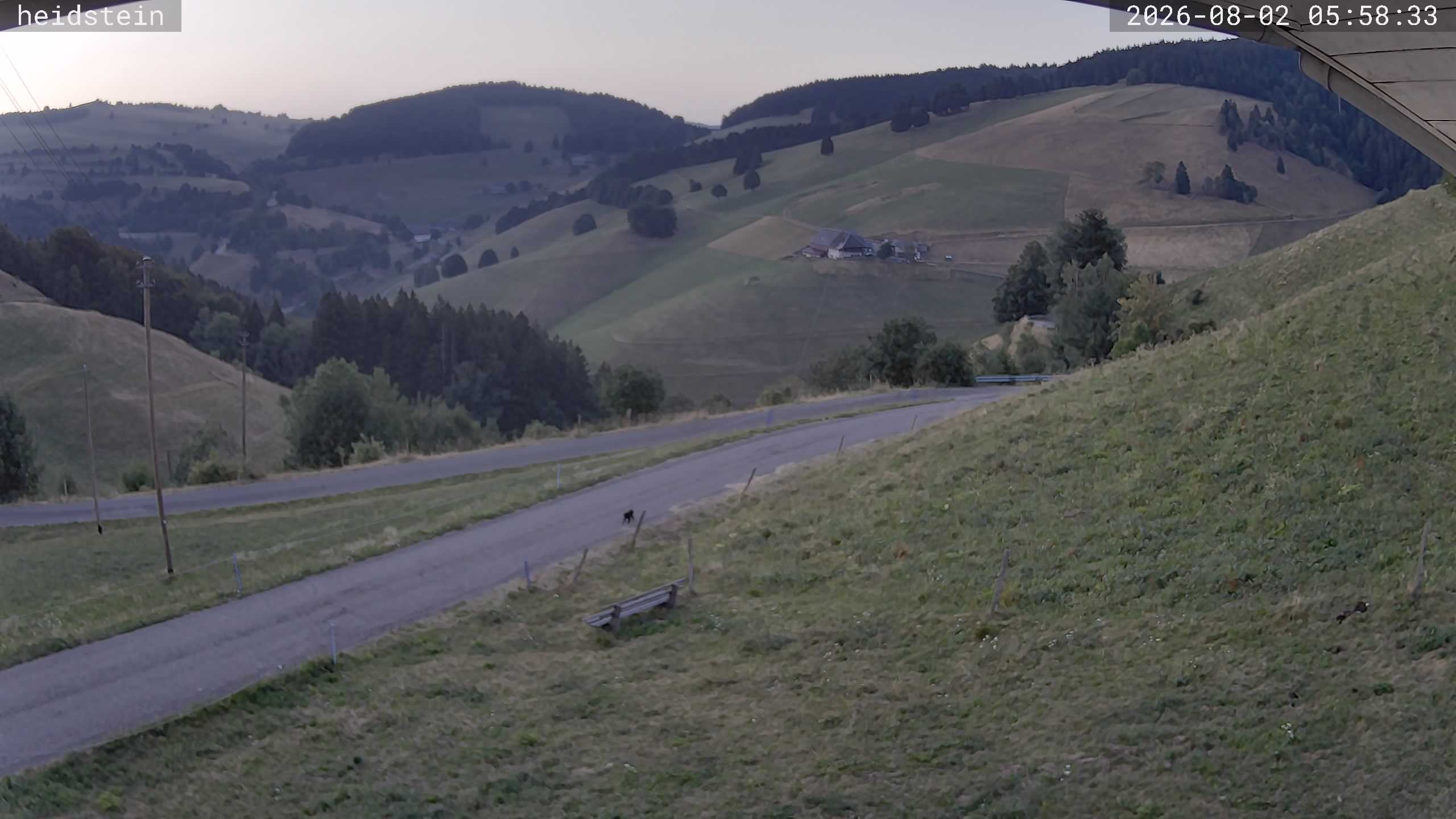 Archiv Foto Webcam Münstertal-Wieden: Heidsteinlift