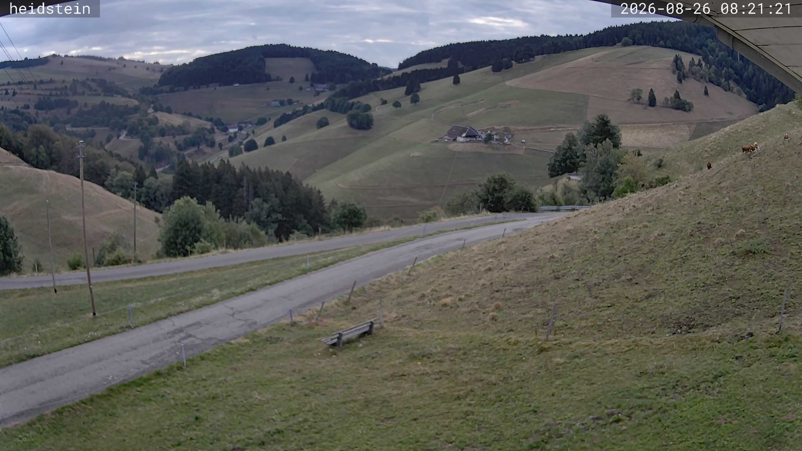 Archiv Foto Webcam Münstertal-Wieden: Heidsteinlift