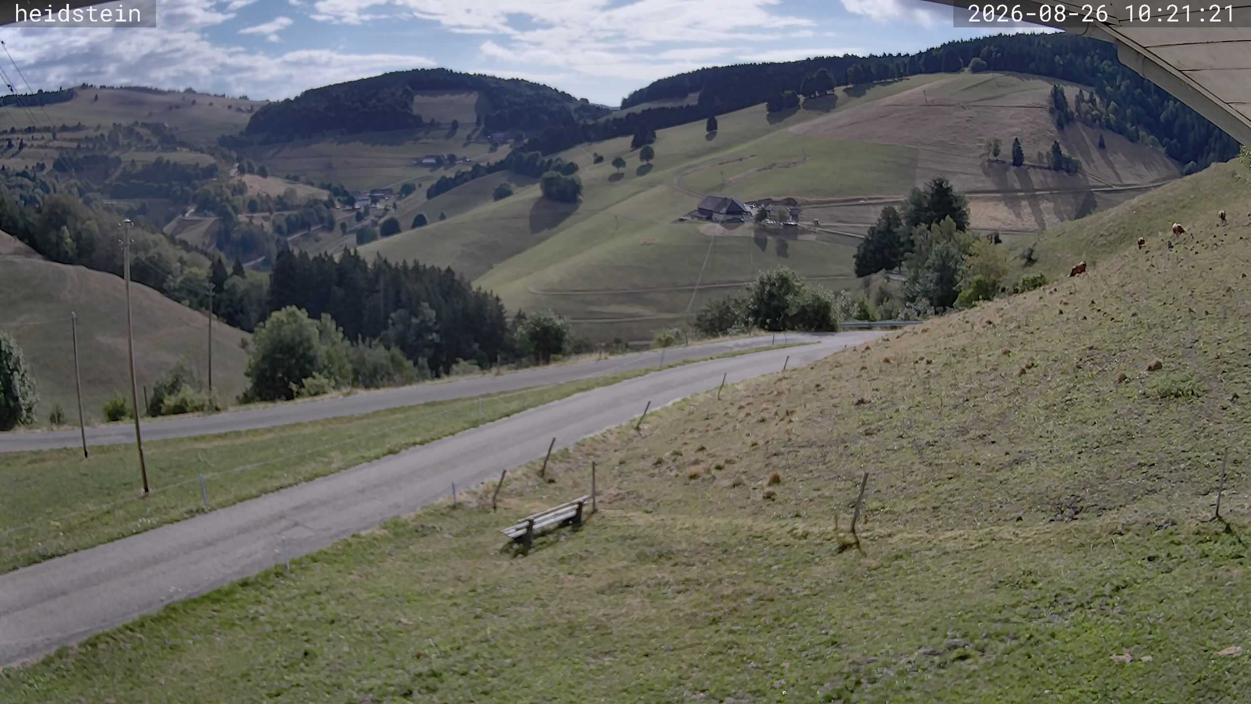 Archiv Foto Webcam Münstertal-Wieden: Heidsteinlift