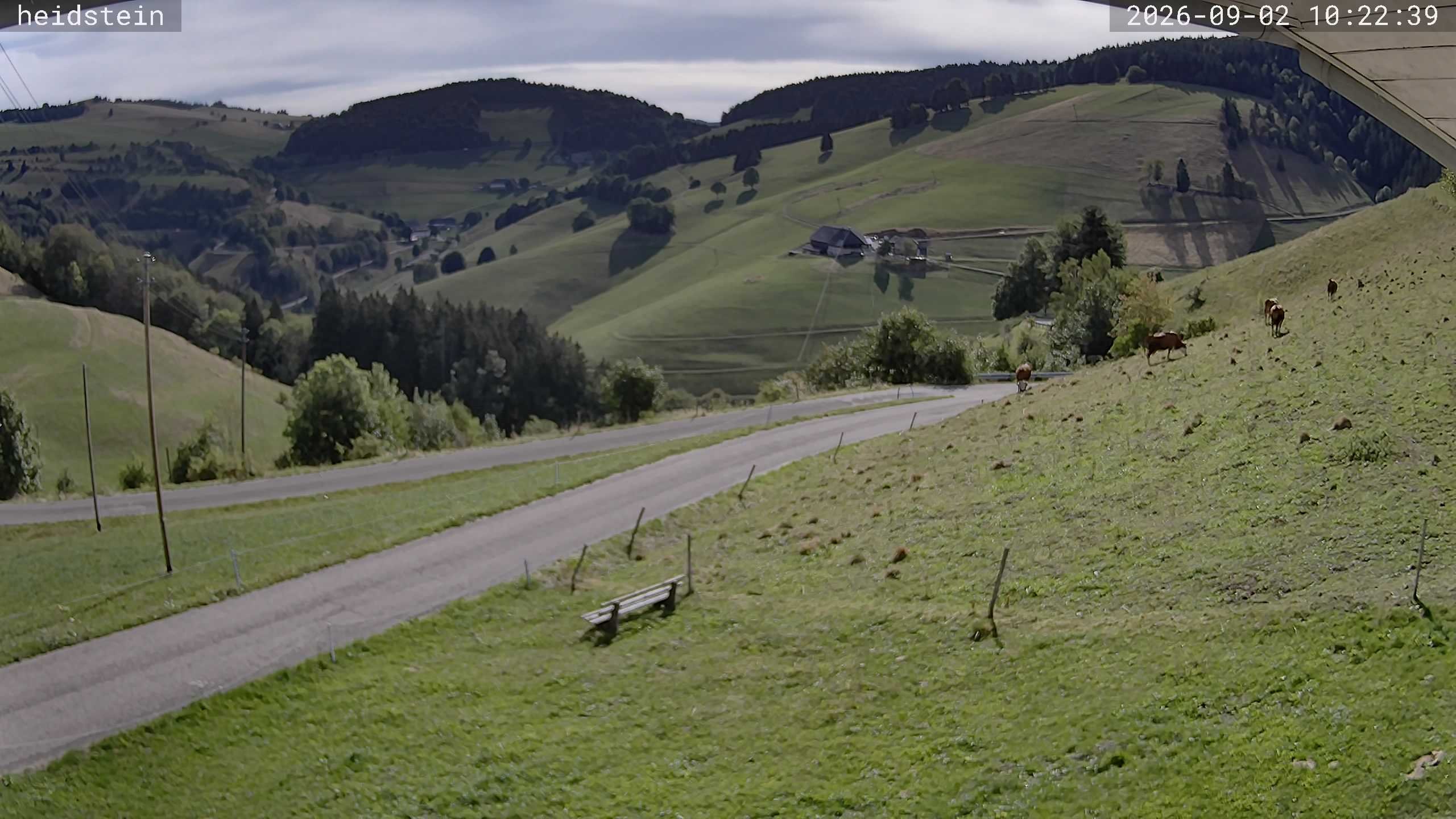 Archiv Foto Webcam Münstertal-Wieden: Heidsteinlift