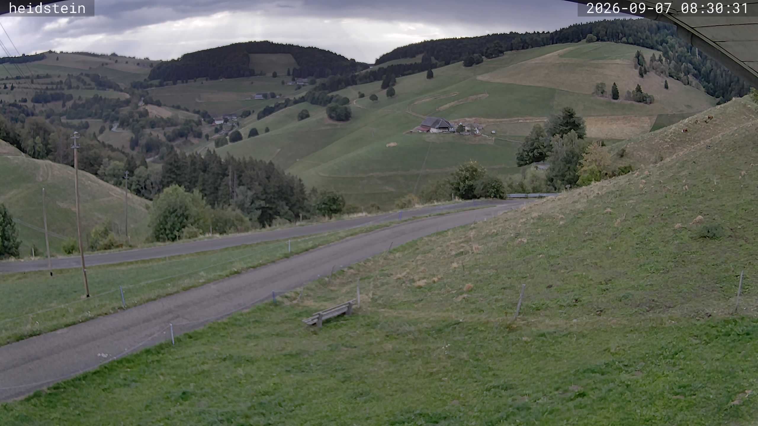 Archiv Foto Webcam Münstertal-Wieden: Heidsteinlift