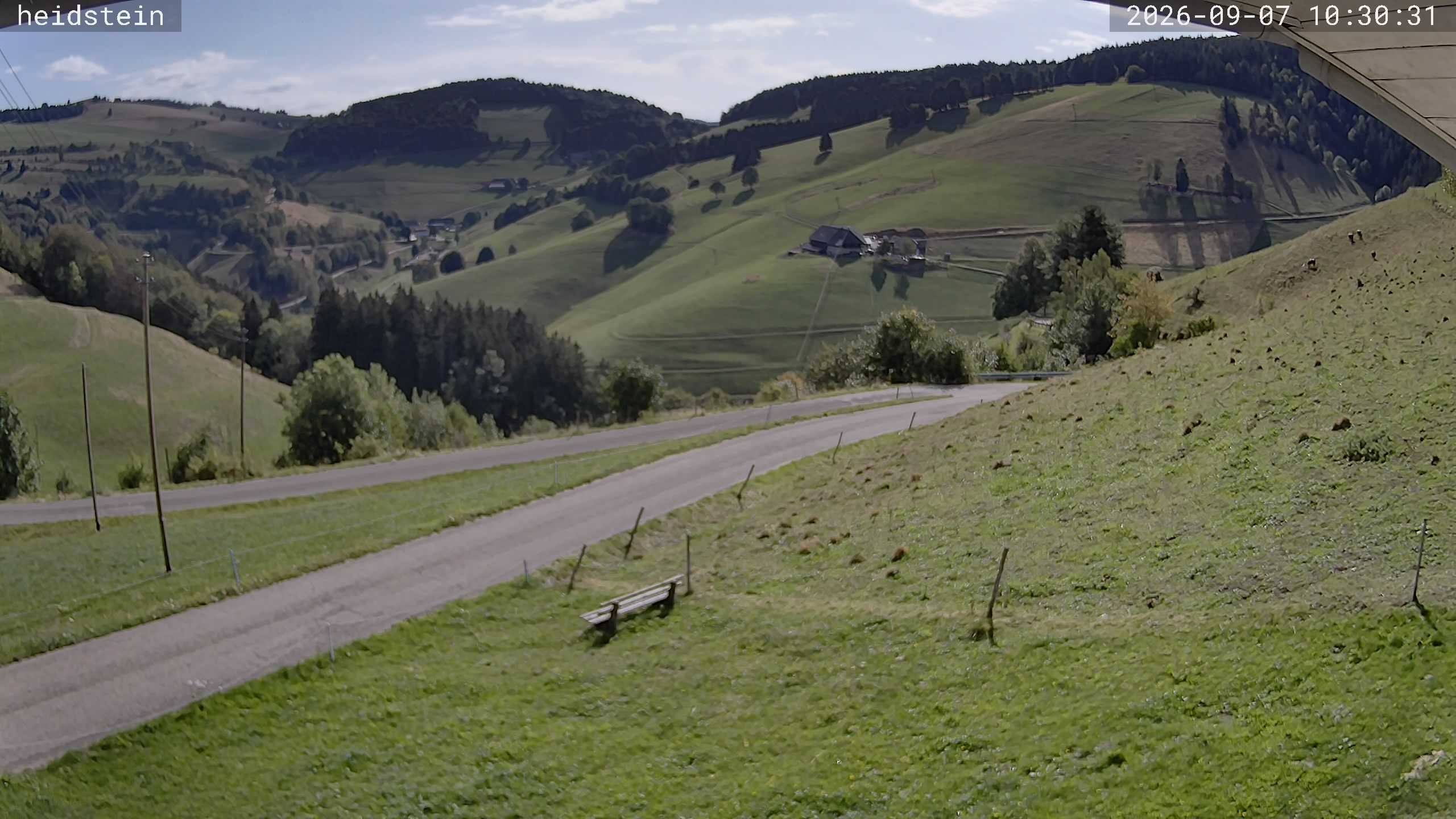 Archiv Foto Webcam Münstertal-Wieden: Heidsteinlift