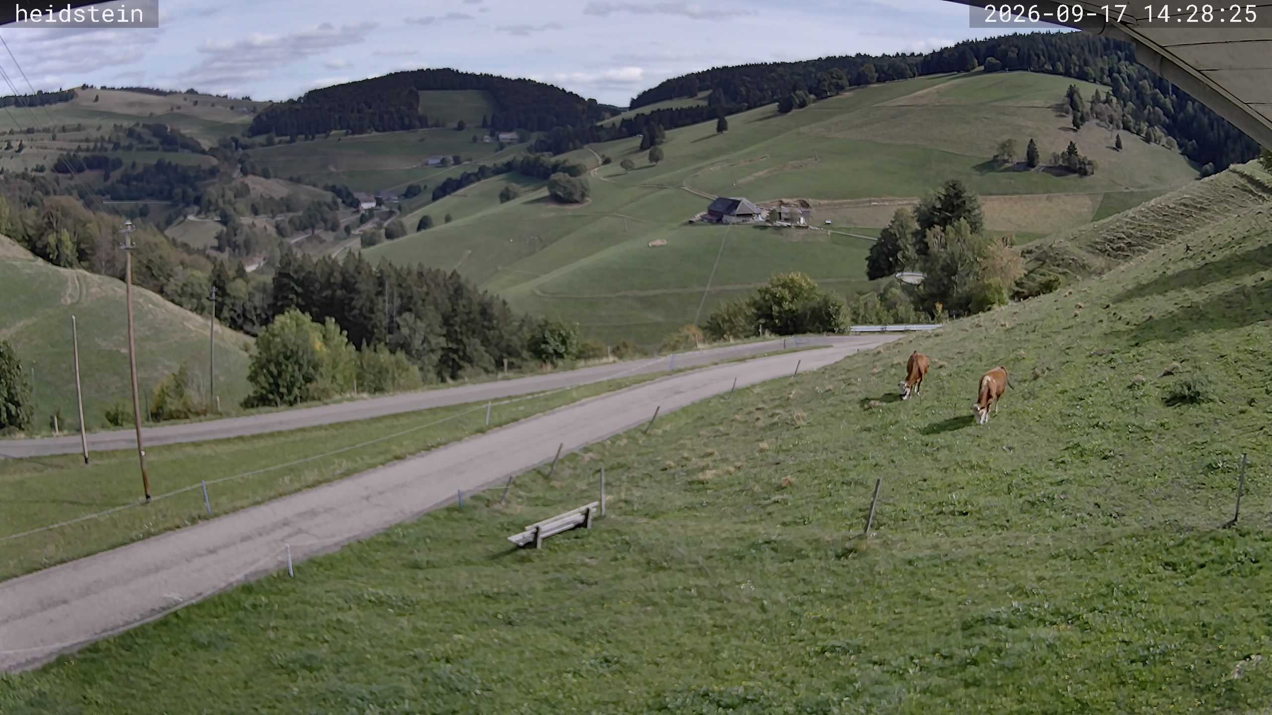 Archiv Foto Webcam Münstertal-Wieden: Heidsteinlift