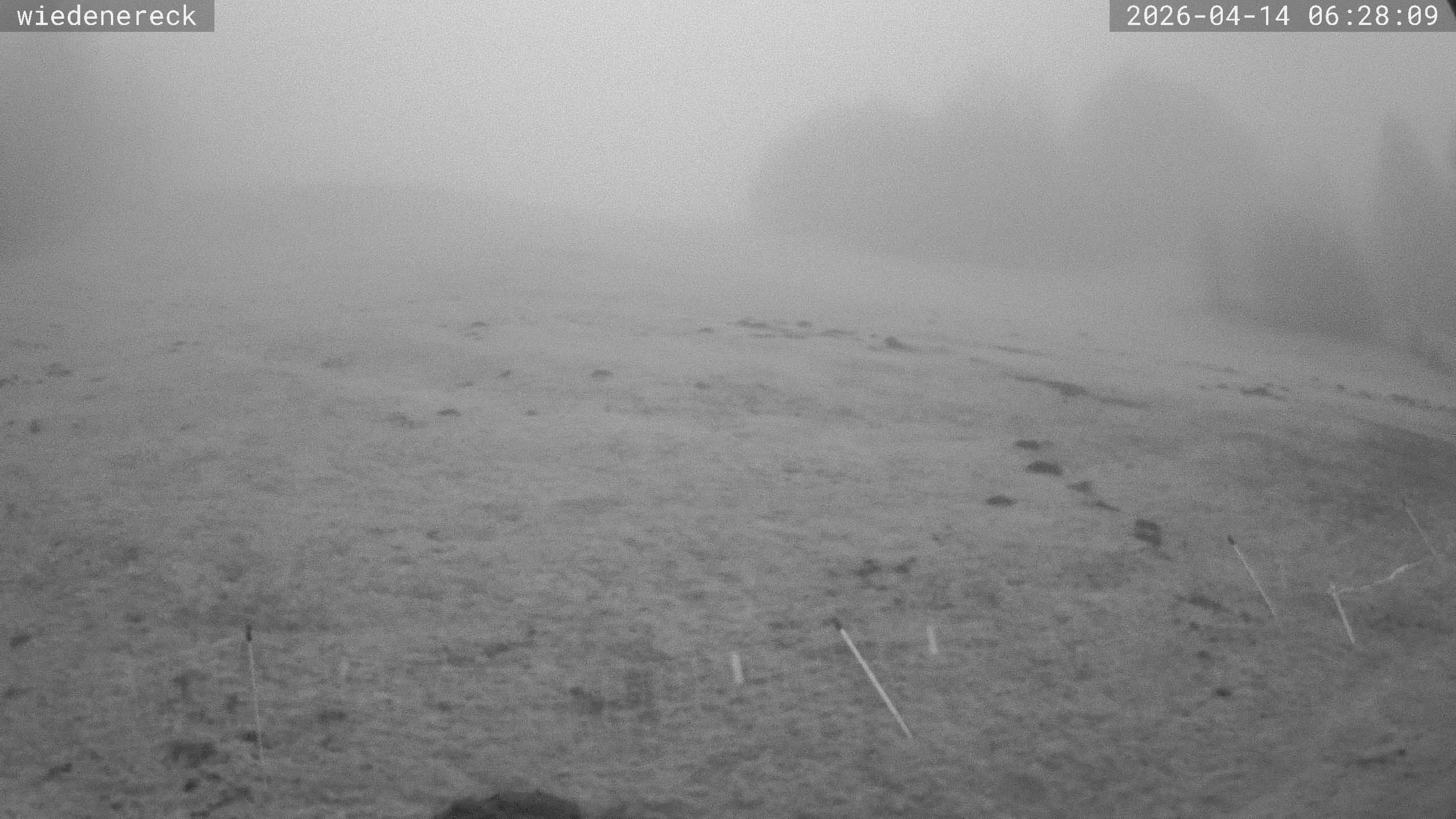 Archiv Foto Webcam Münstertal-Wieden: Wiedenereck Skilift