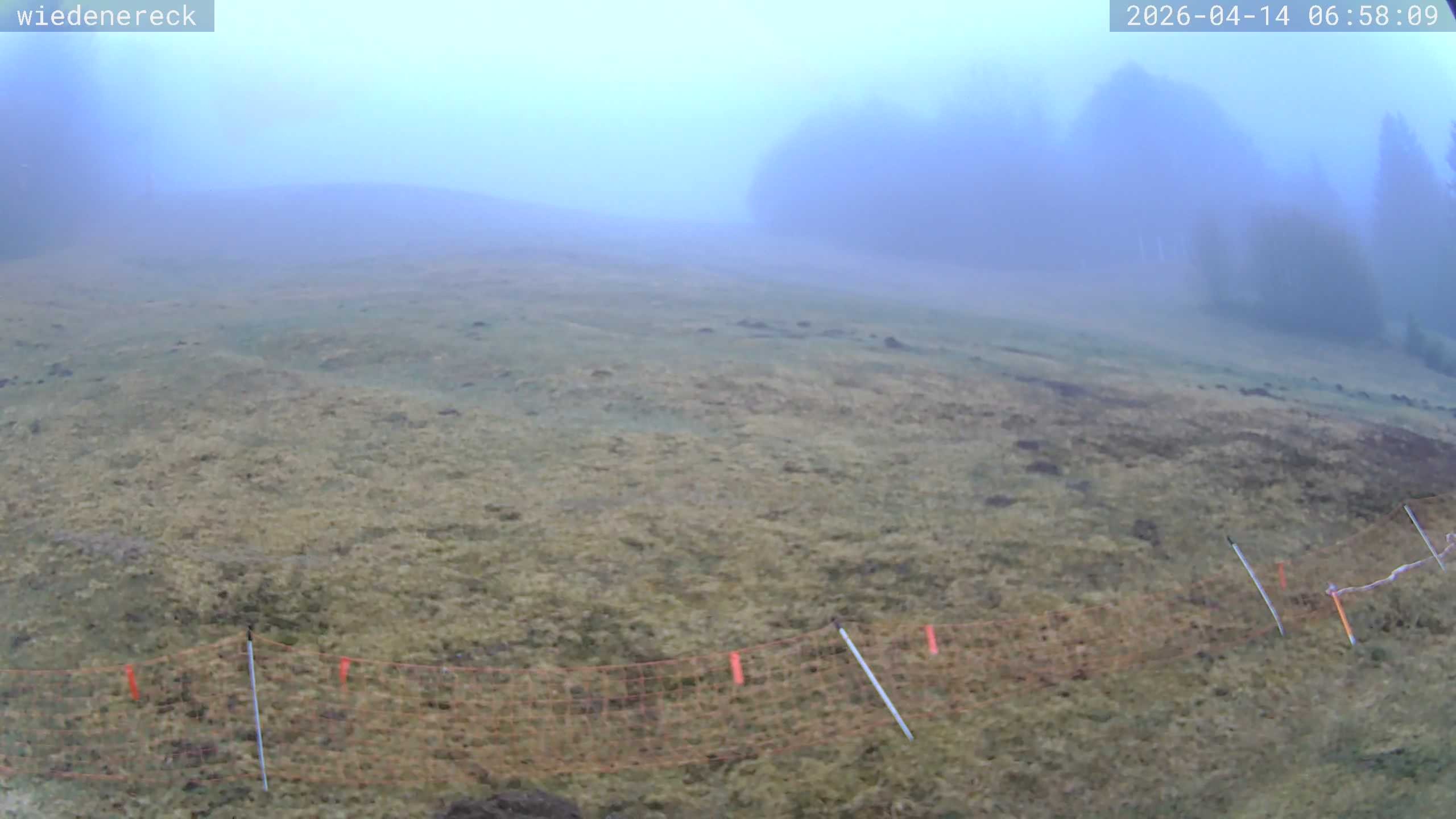 Archiv Foto Webcam Münstertal-Wieden: Wiedenereck Skilift