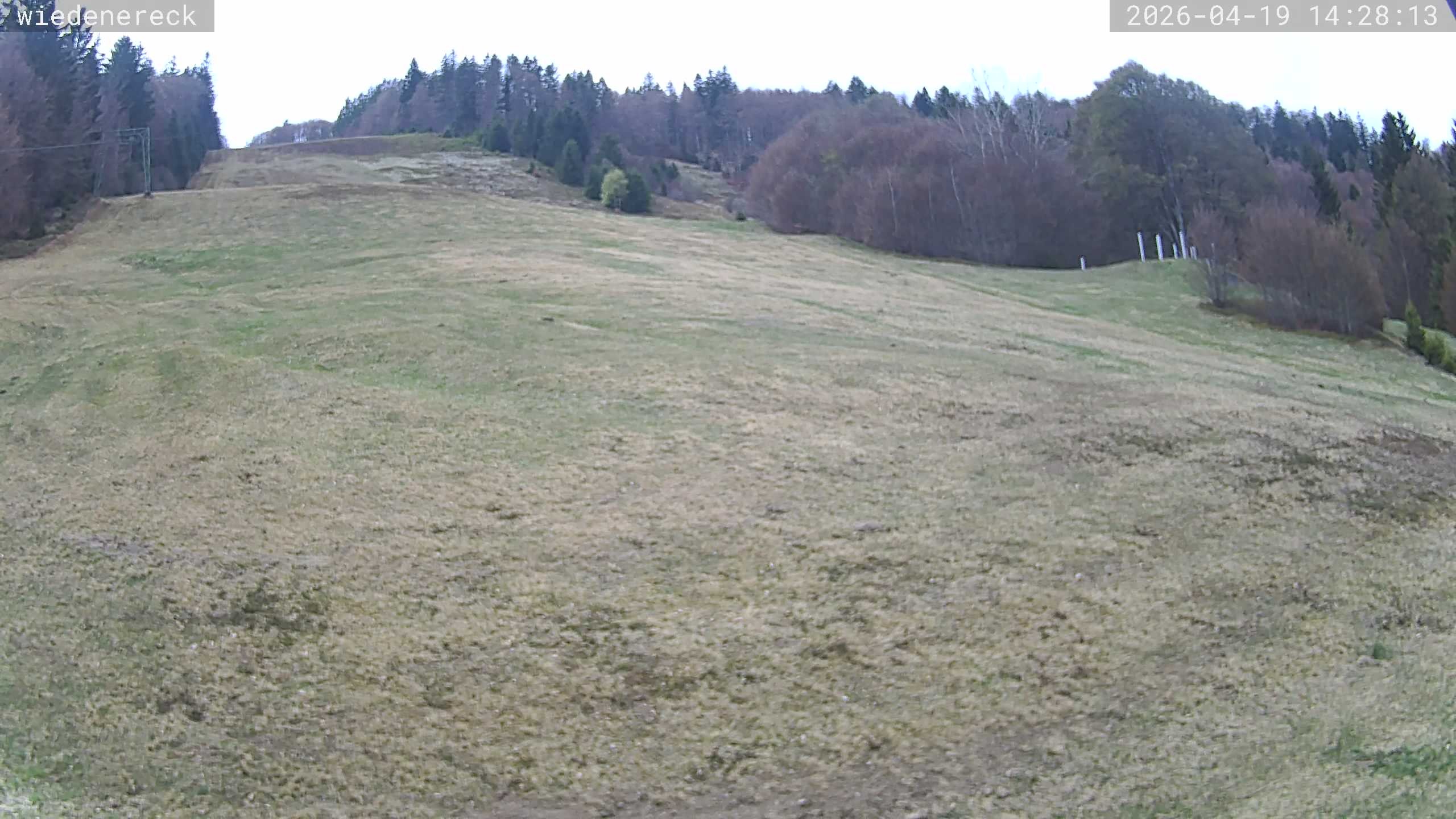 Archiv Foto Webcam Münstertal-Wieden: Wiedenereck Skilift