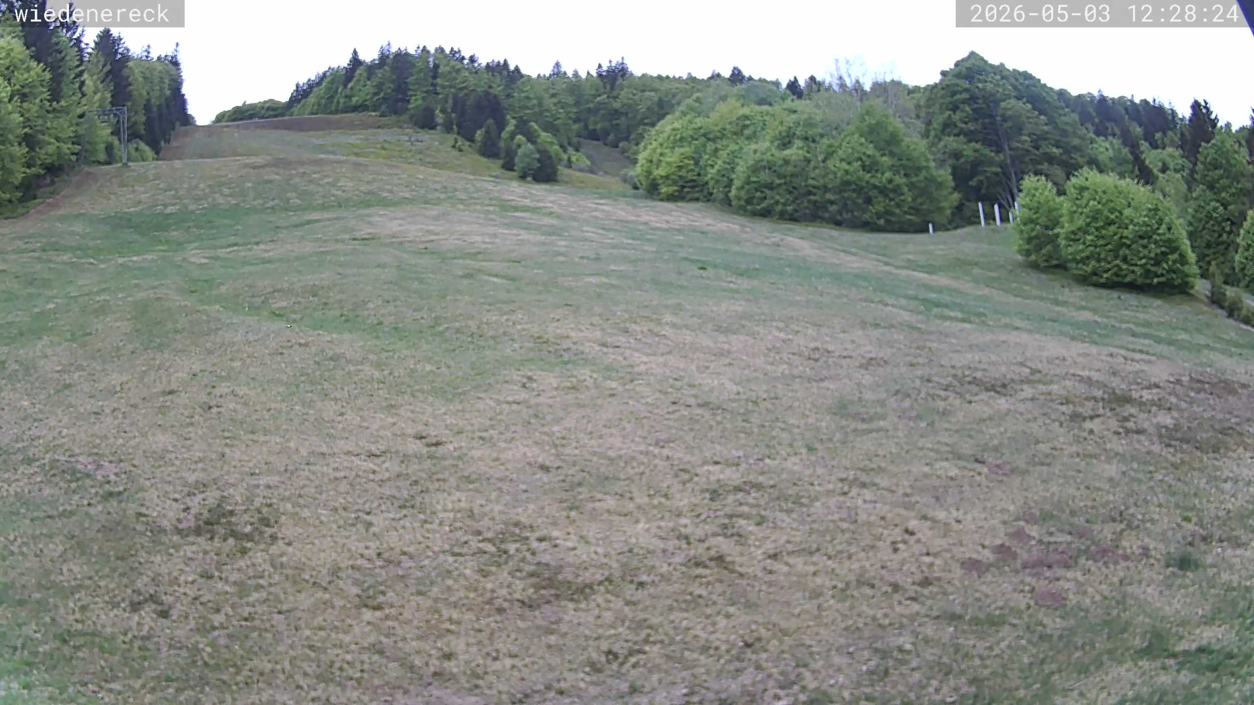 Archived image Webcam Münstertal-Wieden: Wiedenereck lift