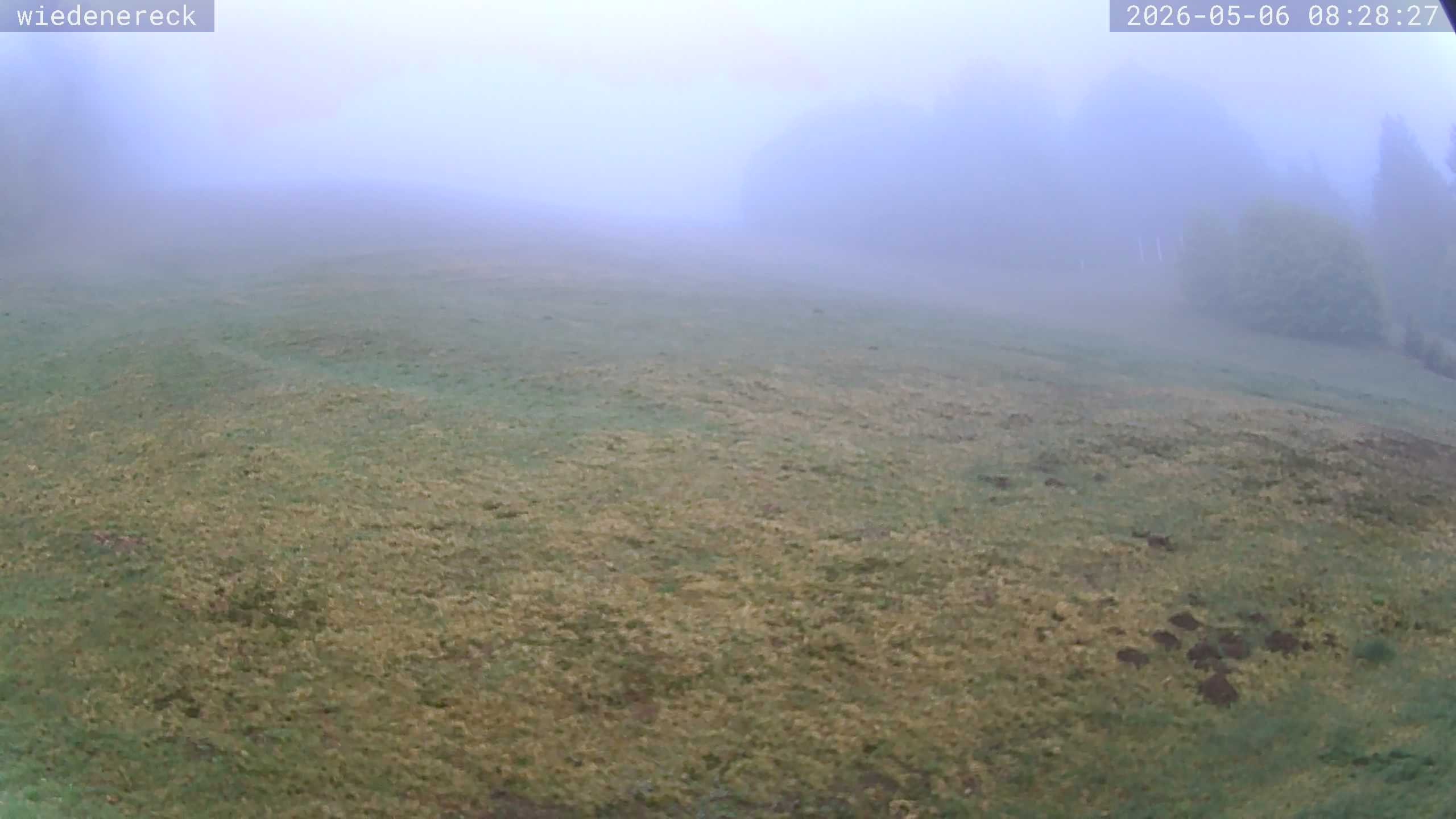 Archived image Webcam Münstertal-Wieden: Wiedenereck lift