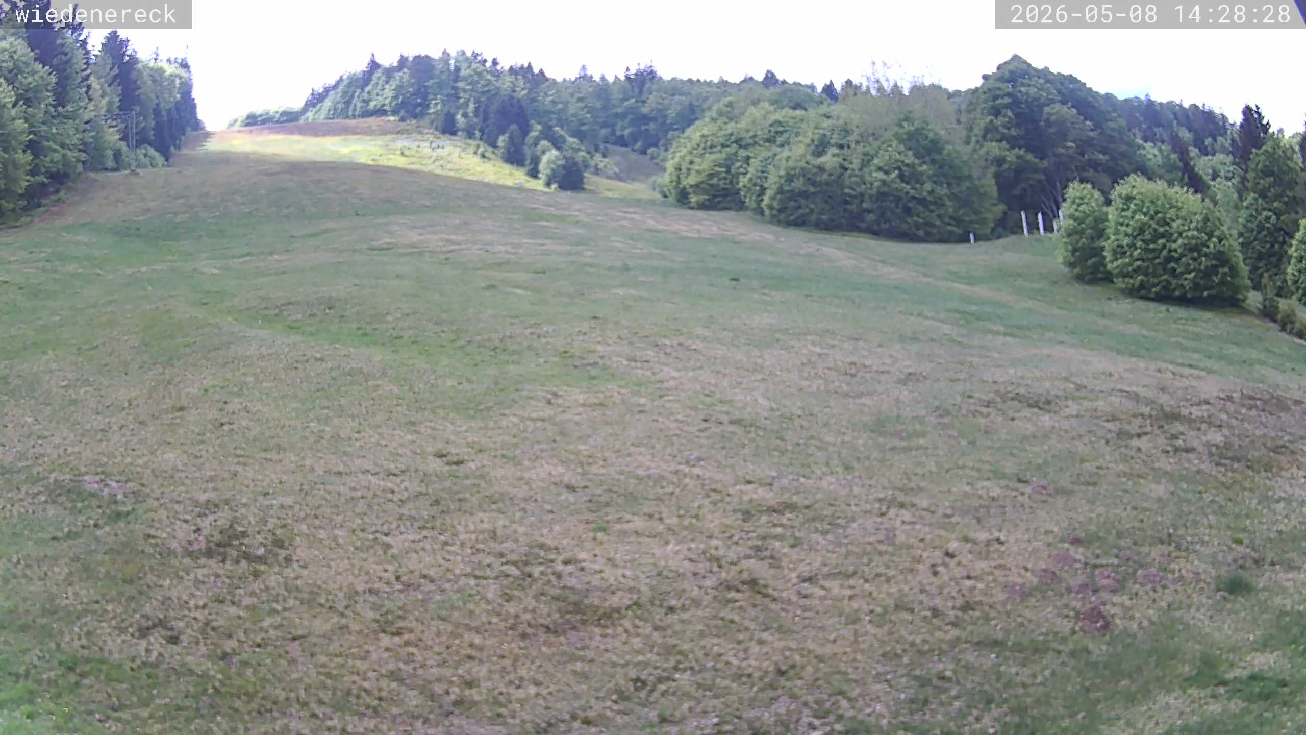 Archiv Foto Webcam Münstertal-Wieden: Wiedenereck Skilift