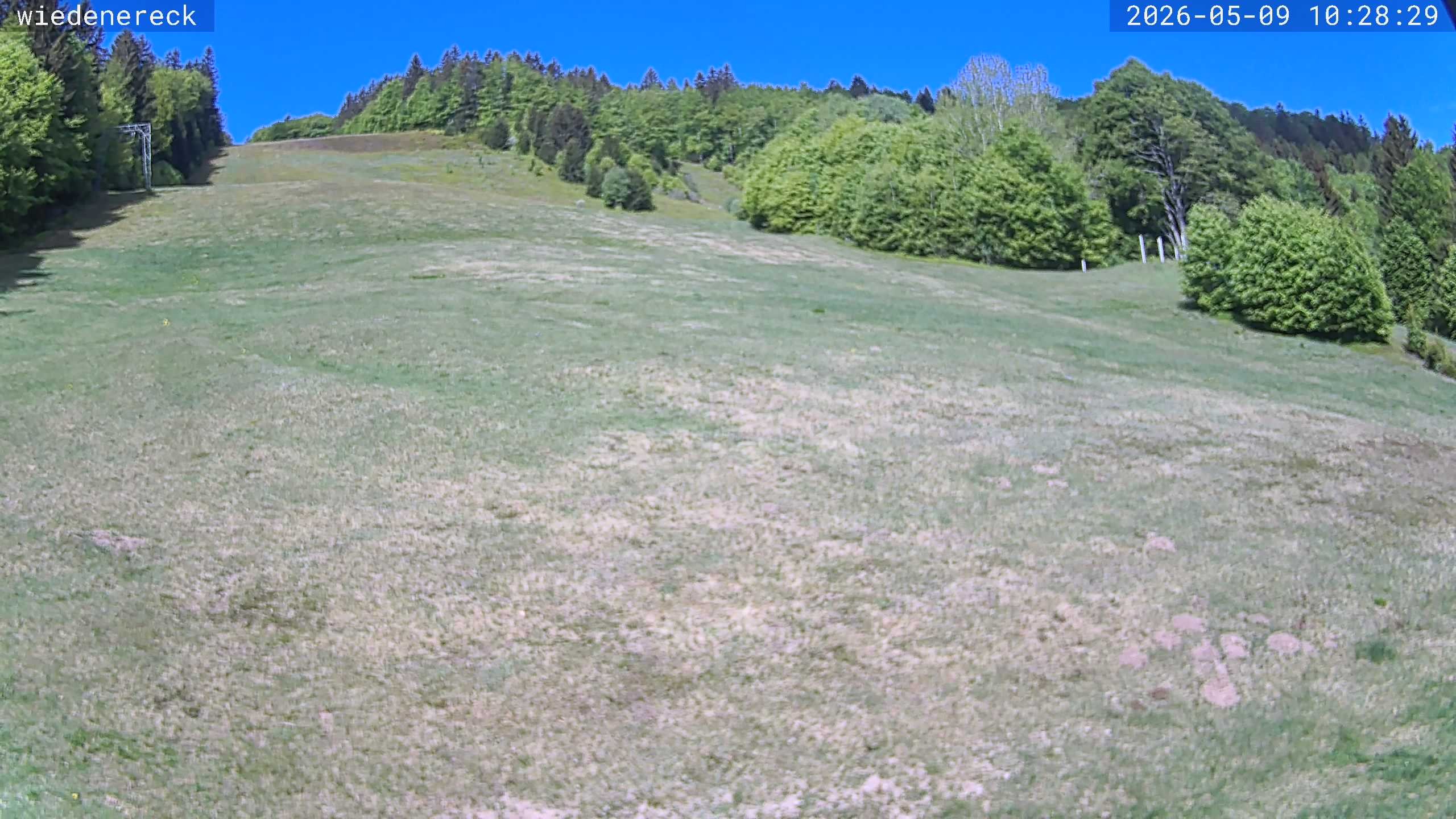 Archiv Foto Webcam Münstertal-Wieden: Wiedenereck Skilift