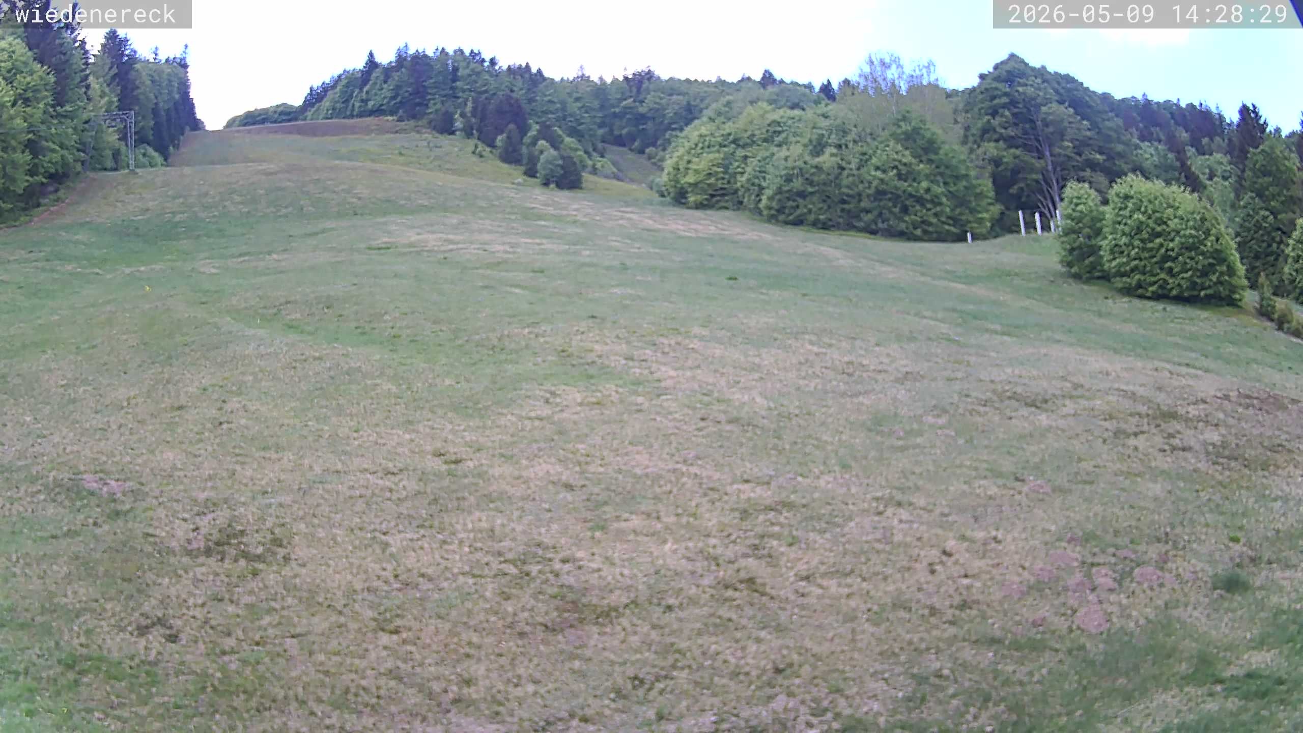 Archiv Foto Webcam Münstertal-Wieden: Wiedenereck Skilift