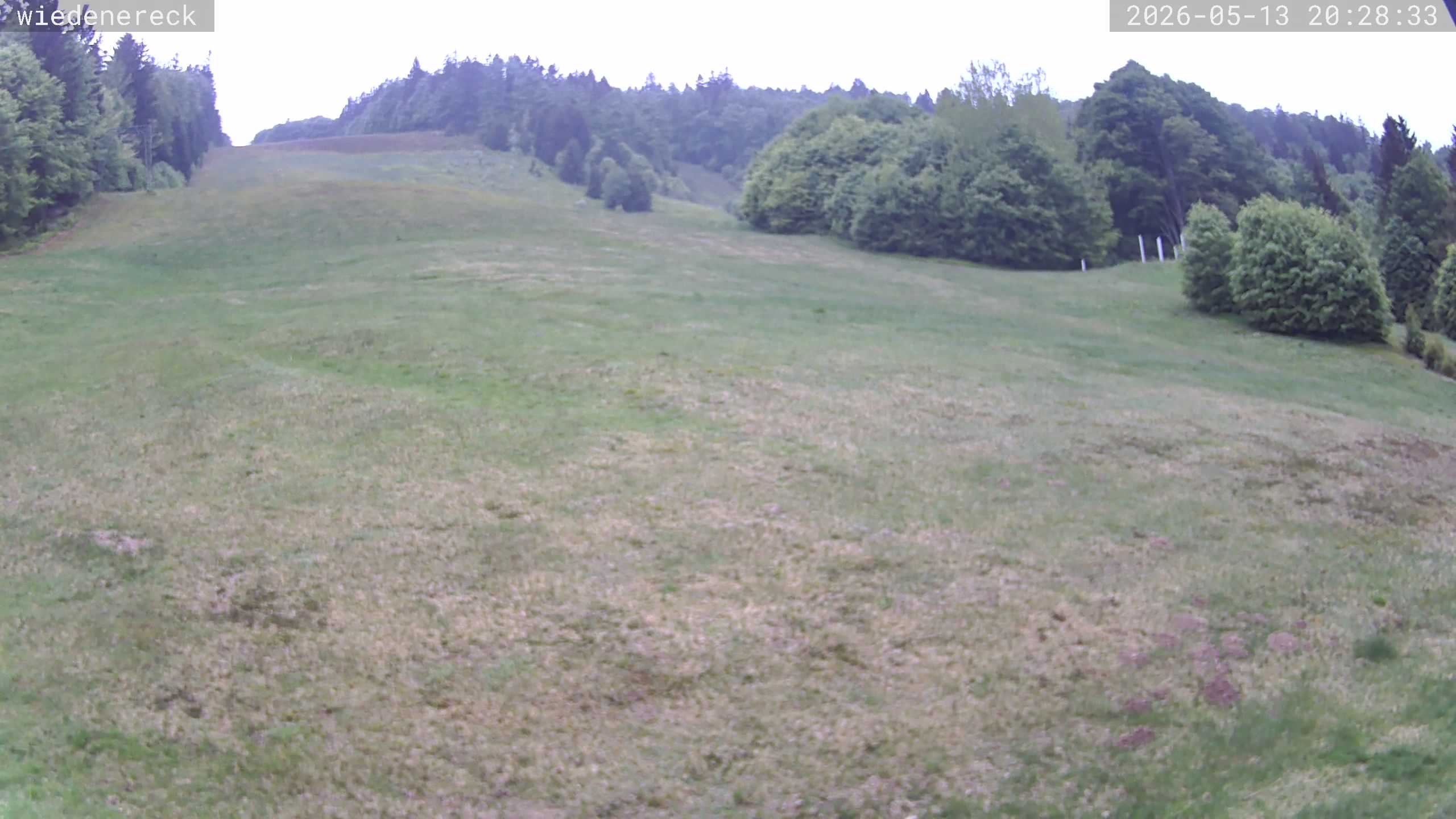 Archiv Foto Webcam Münstertal-Wieden: Wiedenereck Skilift
