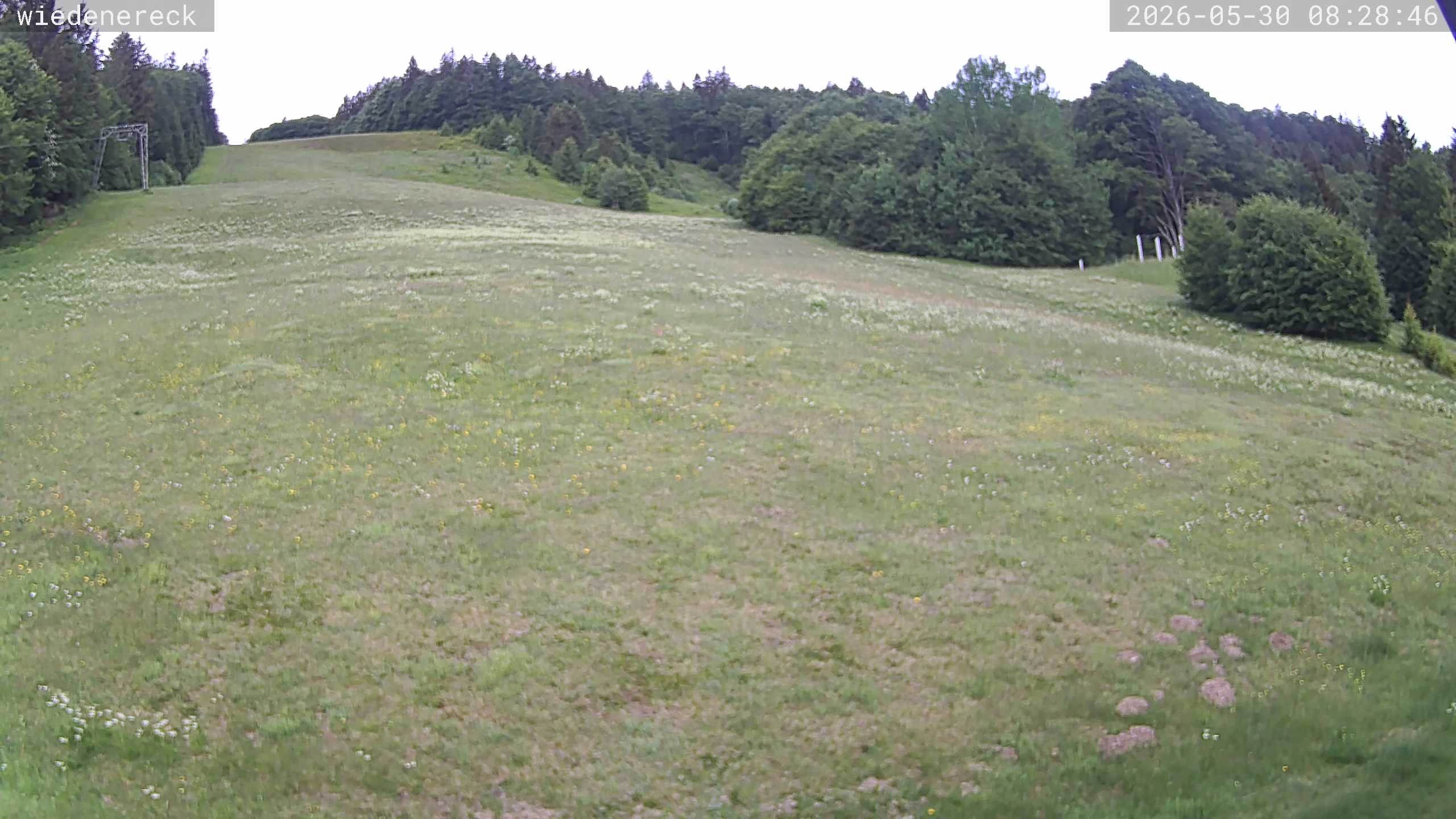 Archived image Webcam Münstertal-Wieden: Wiedenereck lift