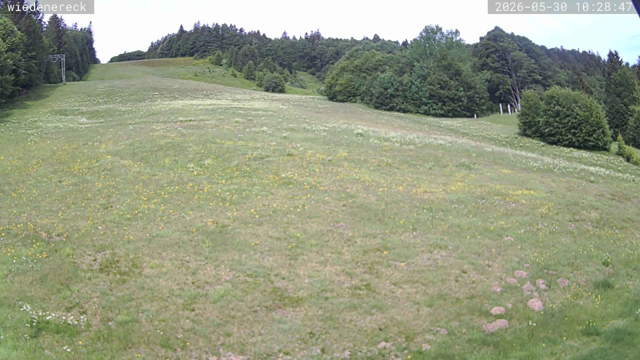 Archived image Webcam Münstertal-Wieden: Wiedenereck lift