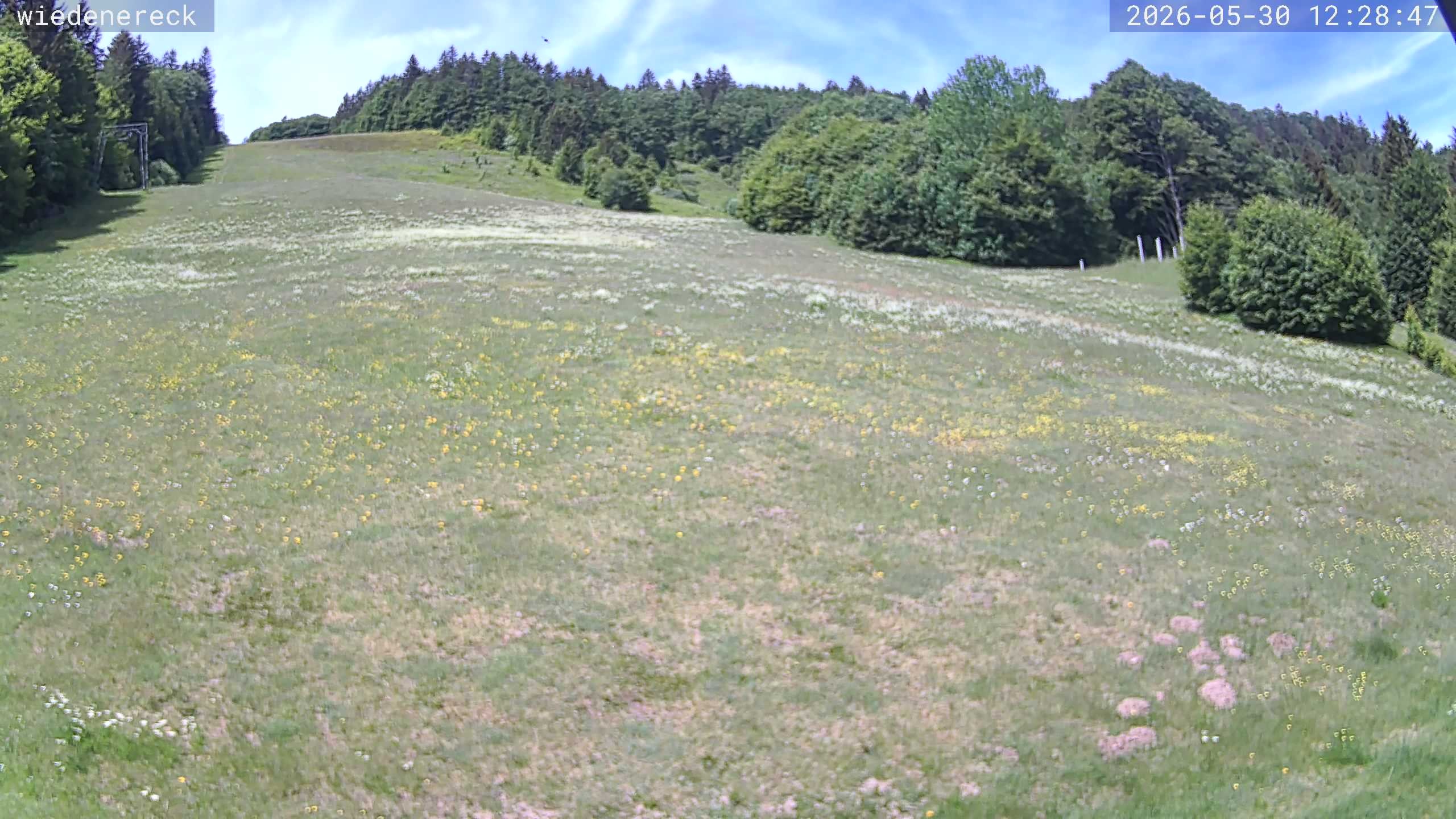 Archiv Foto Webcam Münstertal-Wieden: Wiedenereck Skilift