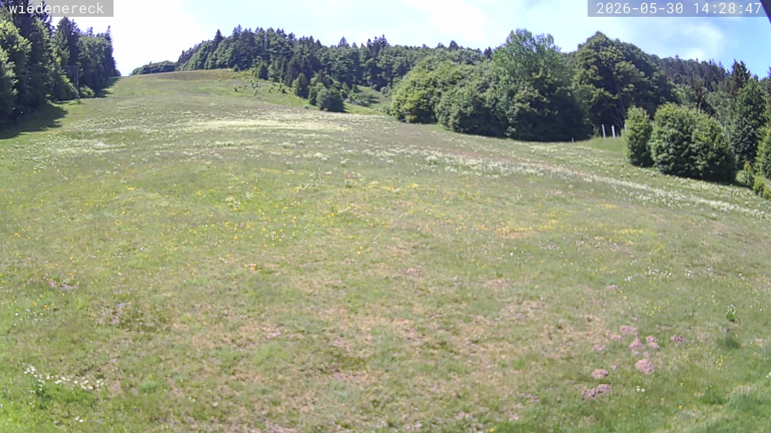 Archiv Foto Webcam Münstertal-Wieden: Wiedenereck Skilift