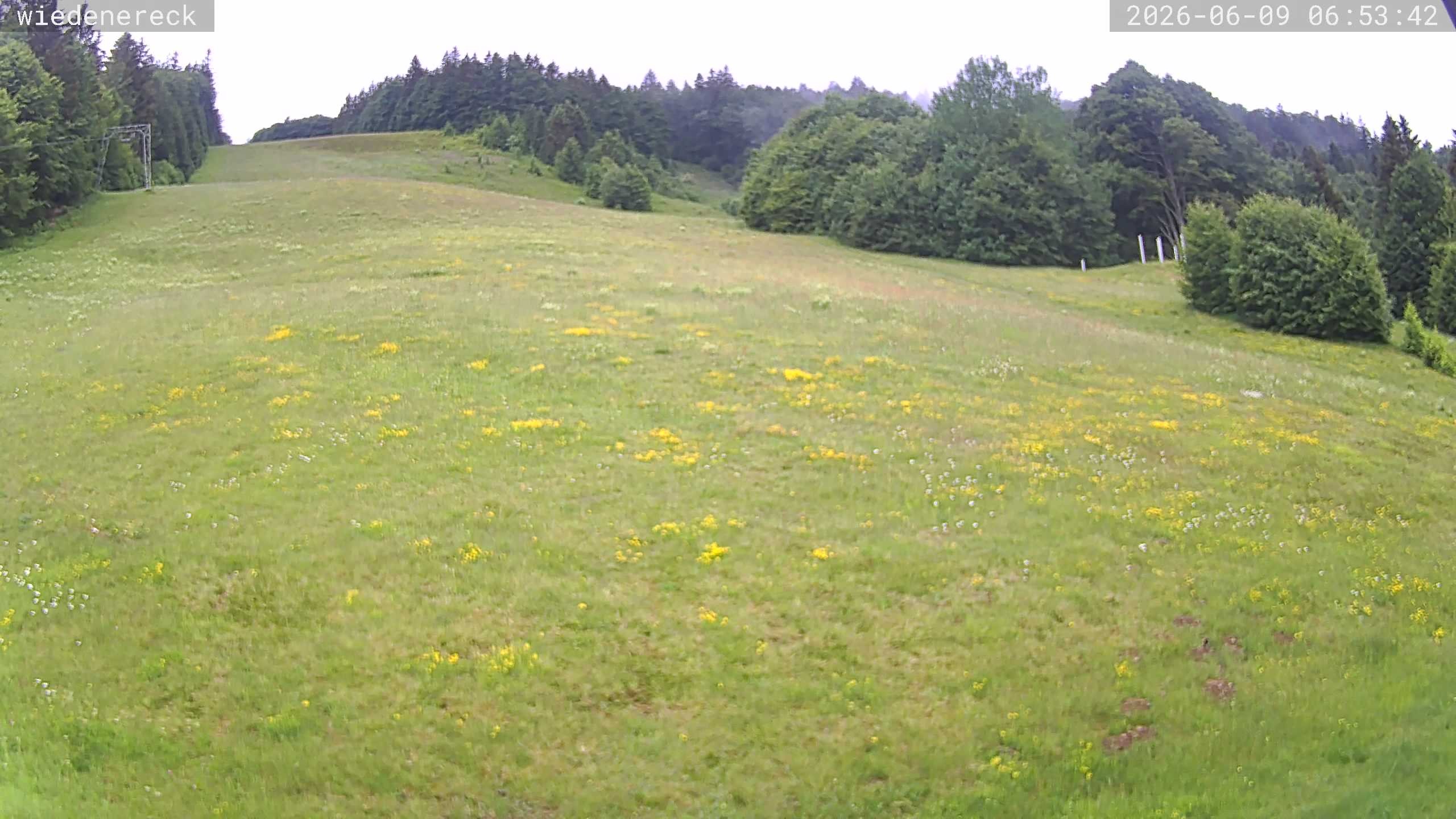 Archiv Foto Webcam Münstertal-Wieden: Wiedenereck Skilift