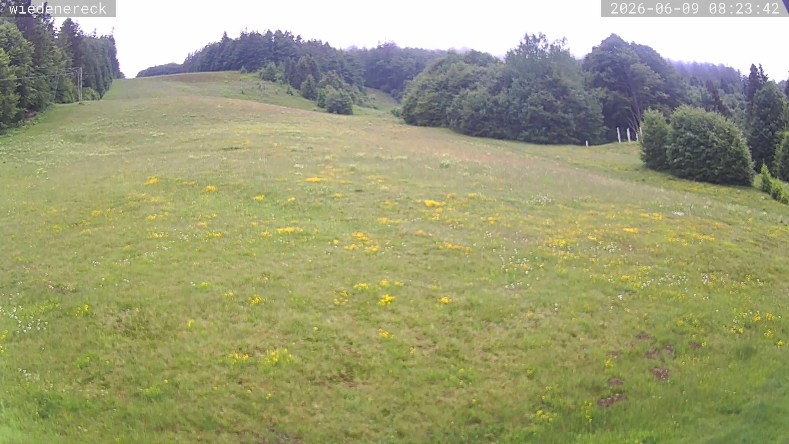 Archiv Foto Webcam Münstertal-Wieden: Wiedenereck Skilift