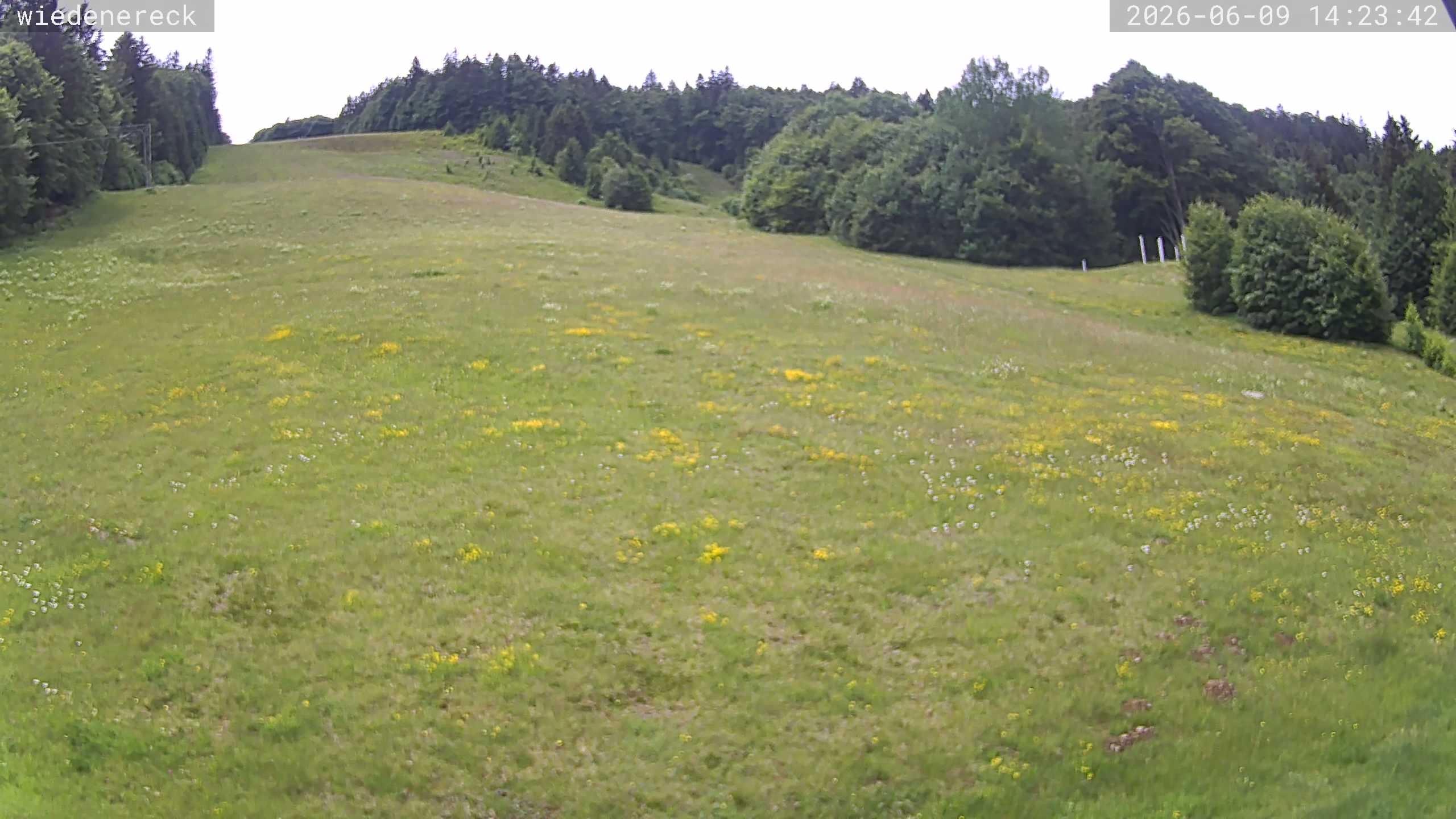 Archiv Foto Webcam Münstertal-Wieden: Wiedenereck Skilift