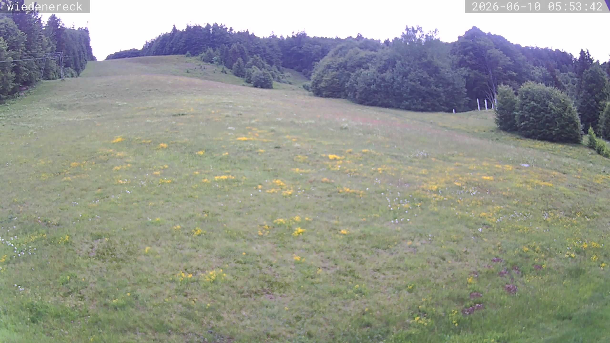 Archived image Webcam Münstertal-Wieden: Wiedenereck lift