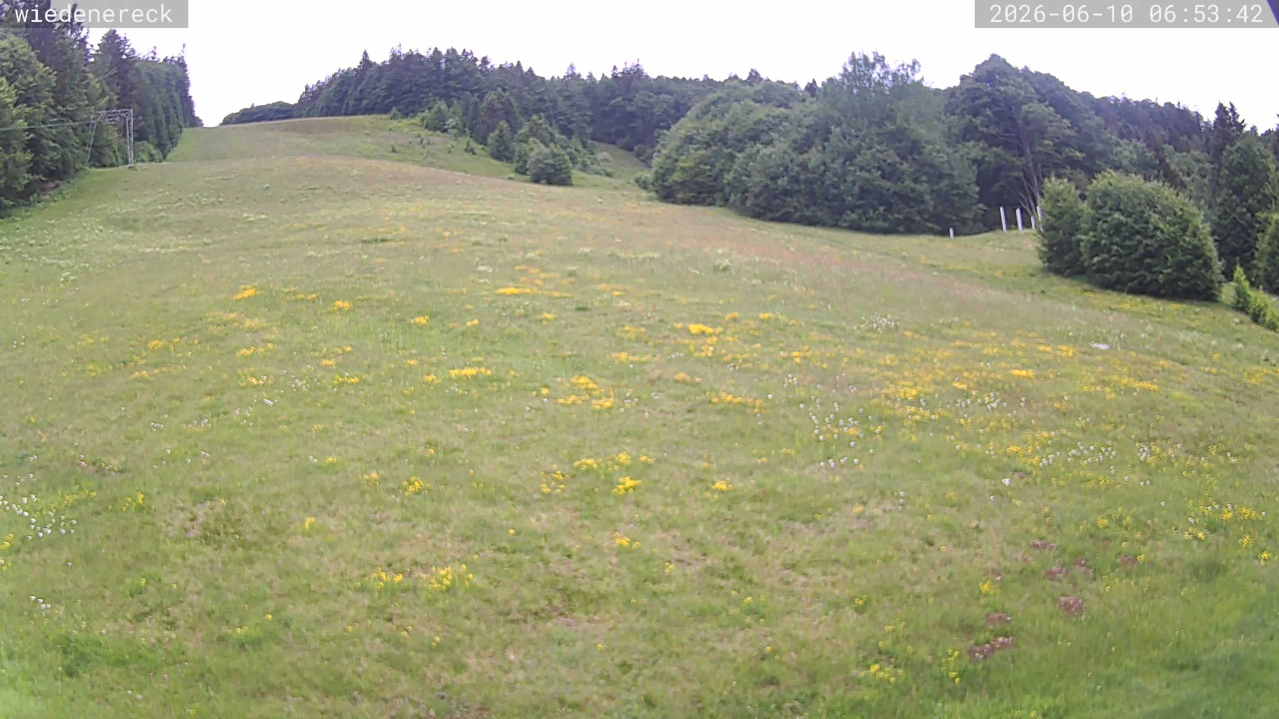 Archived image Webcam Münstertal-Wieden: Wiedenereck lift