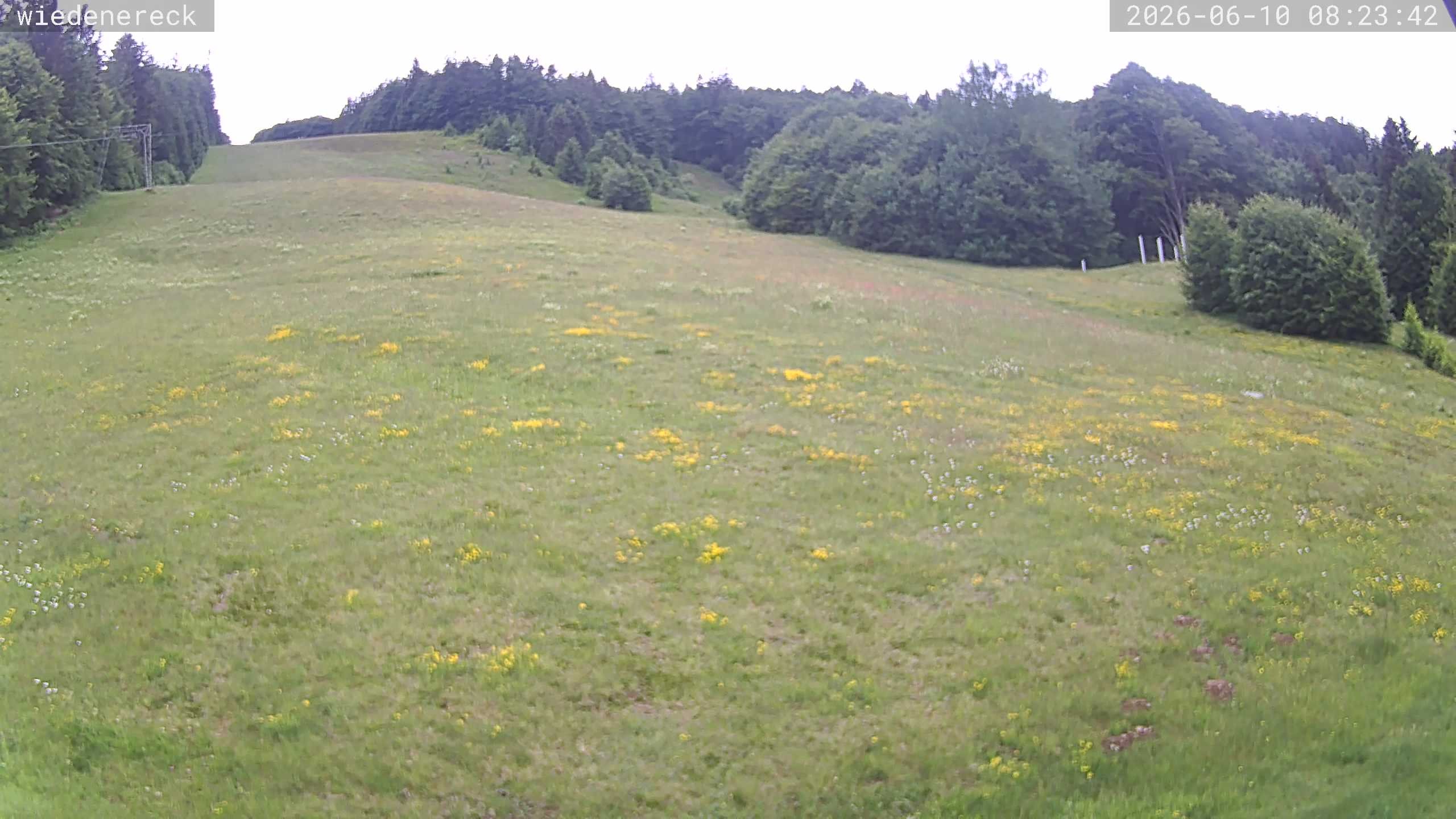 Archived image Webcam Münstertal-Wieden: Wiedenereck lift