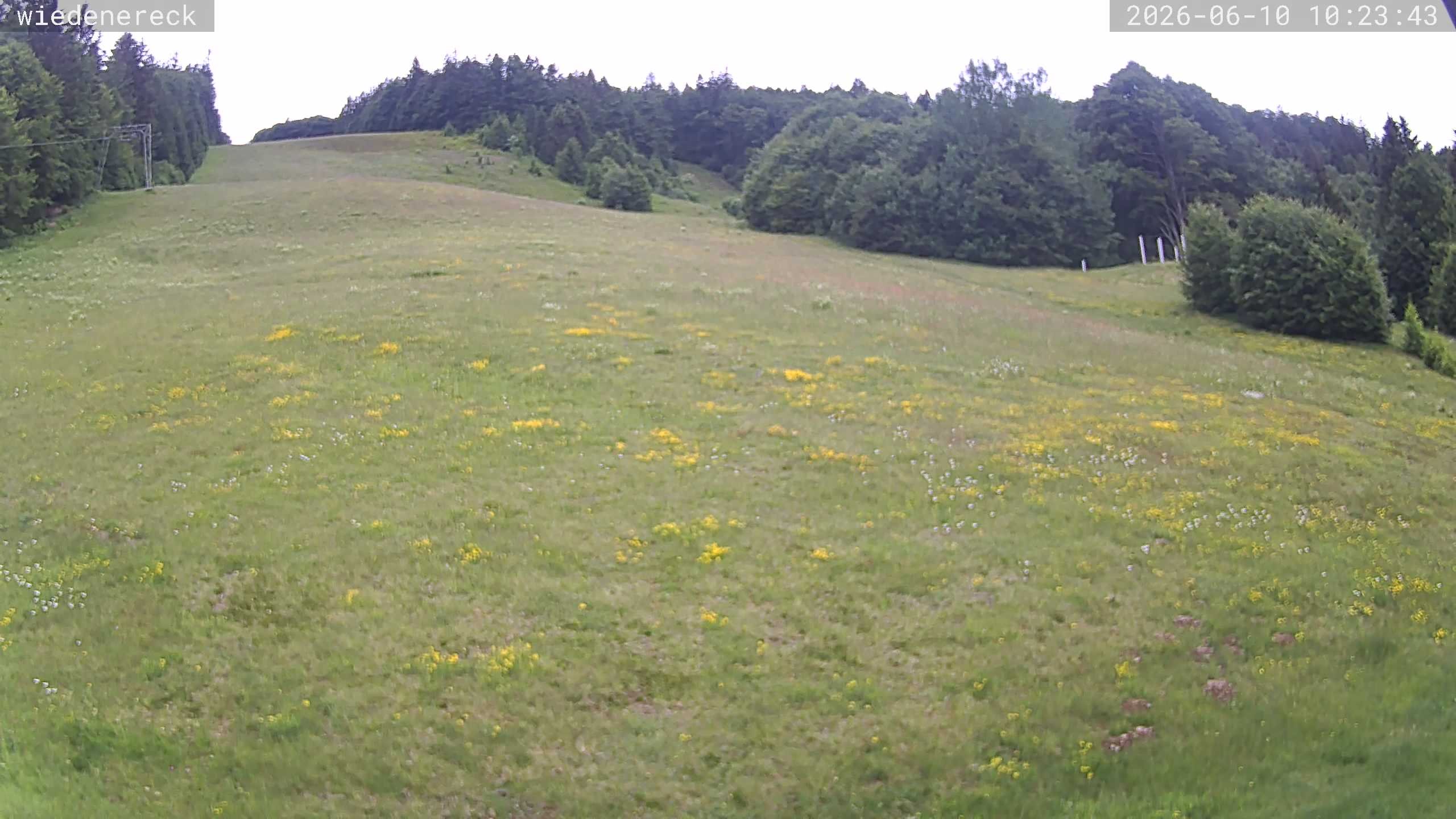 Archived image Webcam Münstertal-Wieden: Wiedenereck lift