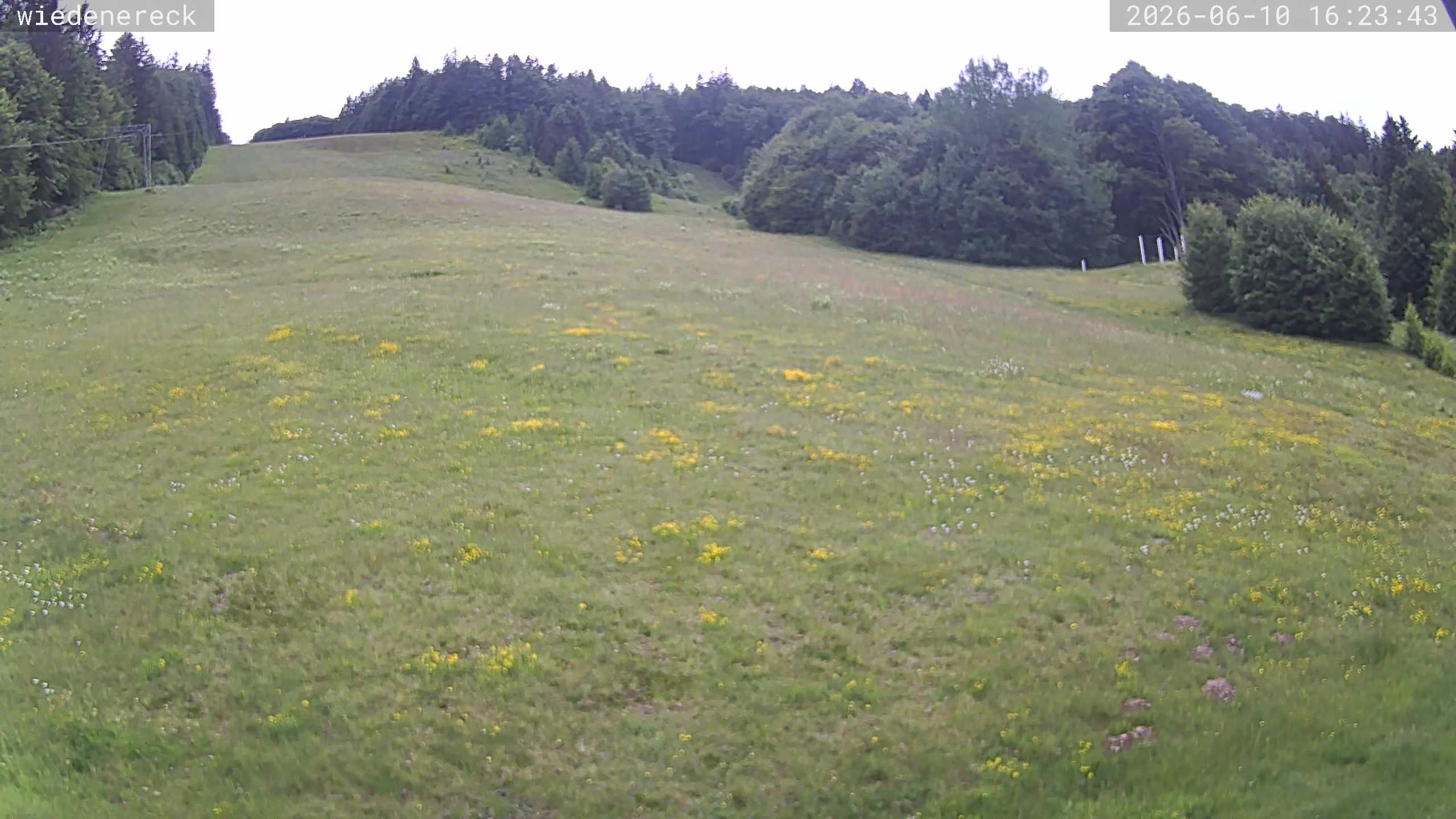 Archived image Webcam Münstertal-Wieden: Wiedenereck lift