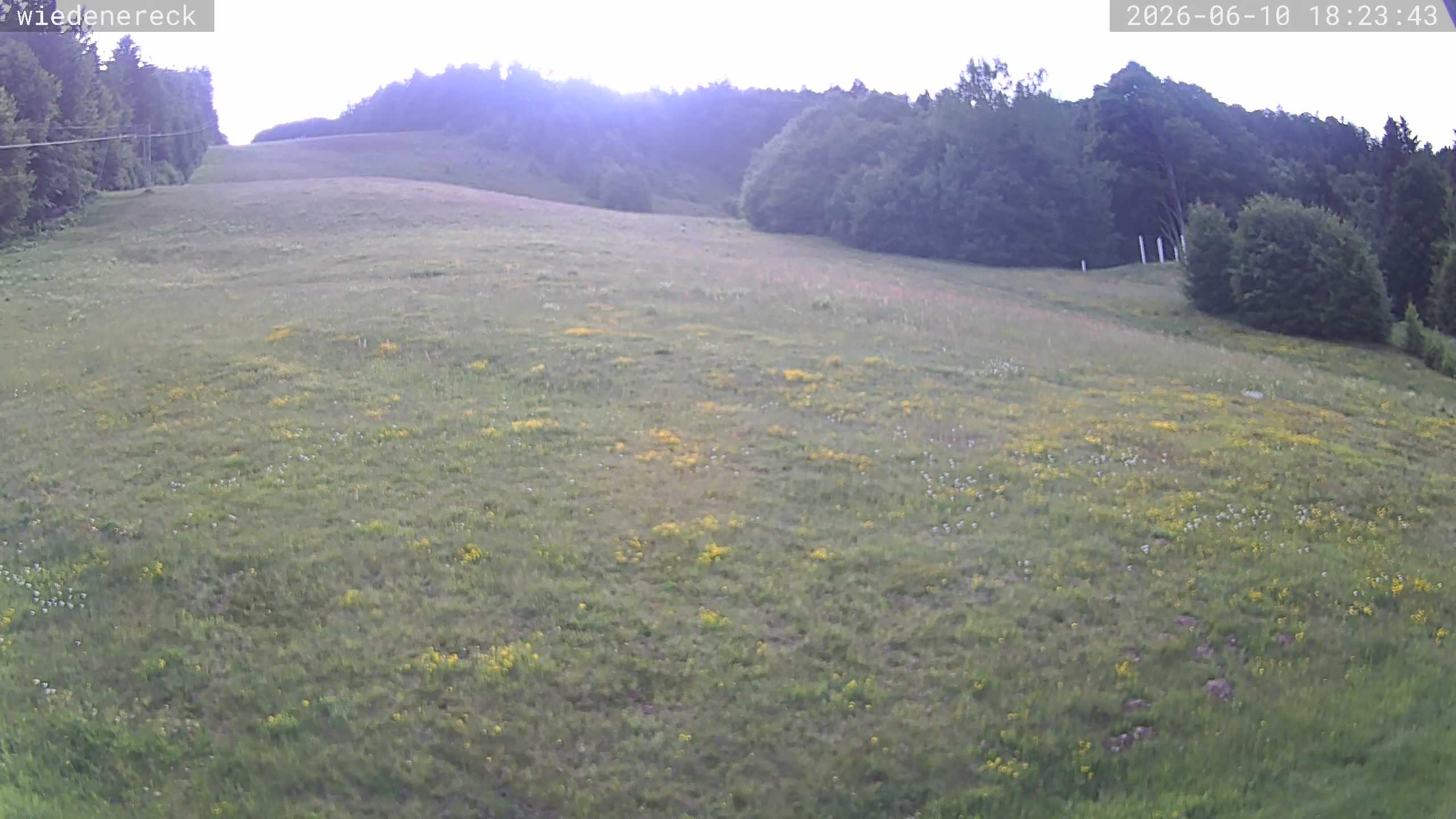 Archived image Webcam Münstertal-Wieden: Wiedenereck lift