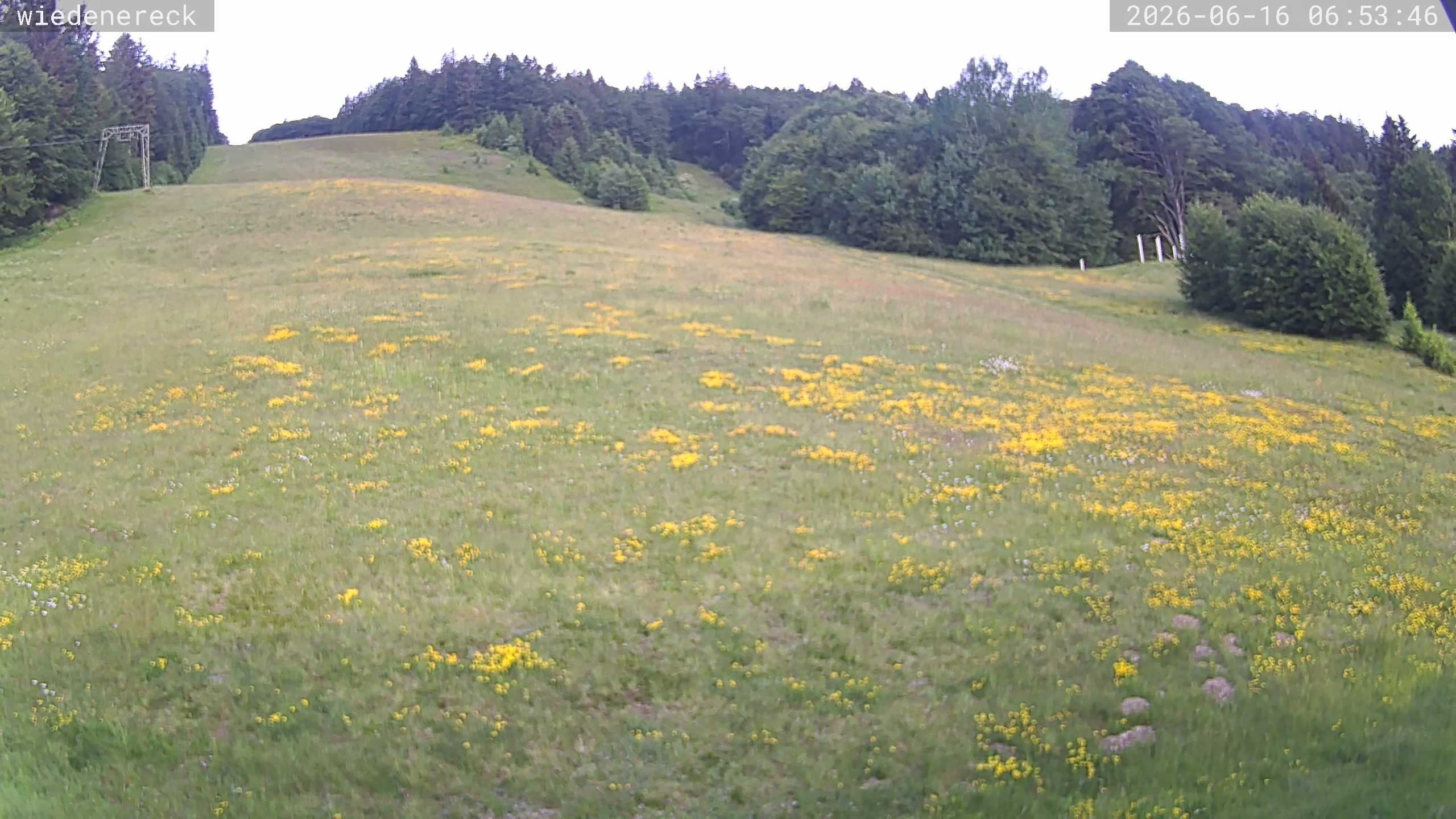 Archiv Foto Webcam Münstertal-Wieden: Wiedenereck Skilift