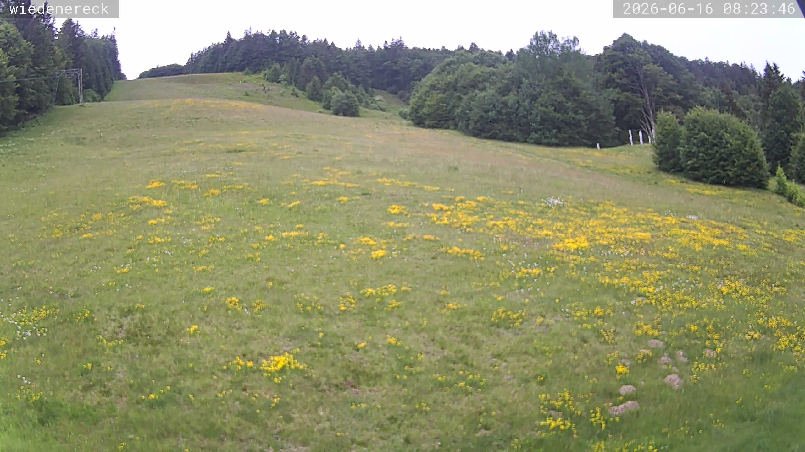 Archiv Foto Webcam Münstertal-Wieden: Wiedenereck Skilift