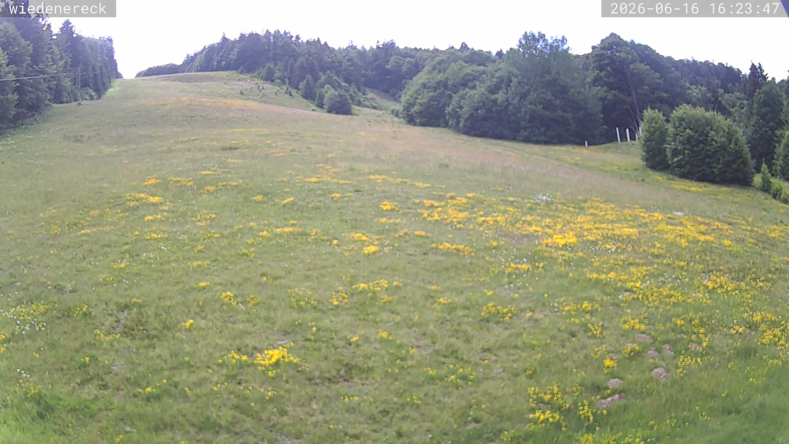 Archiv Foto Webcam Münstertal-Wieden: Wiedenereck Skilift