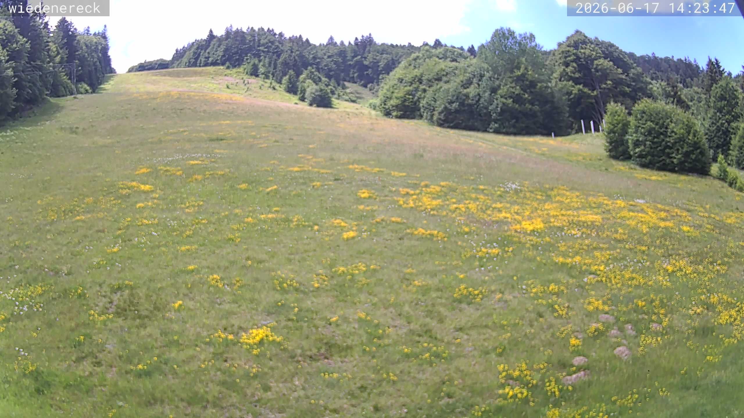 Archiv Foto Webcam Münstertal-Wieden: Wiedenereck Skilift