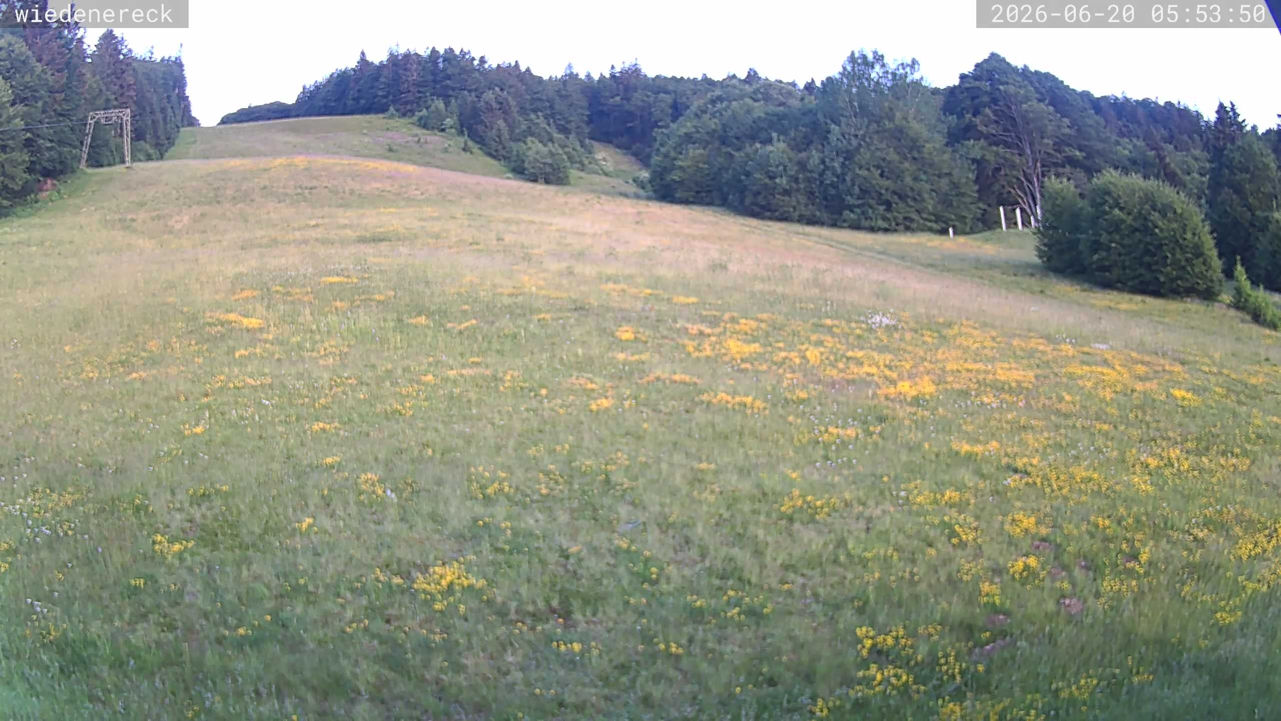Archiv Foto Webcam Münstertal-Wieden: Wiedenereck Skilift