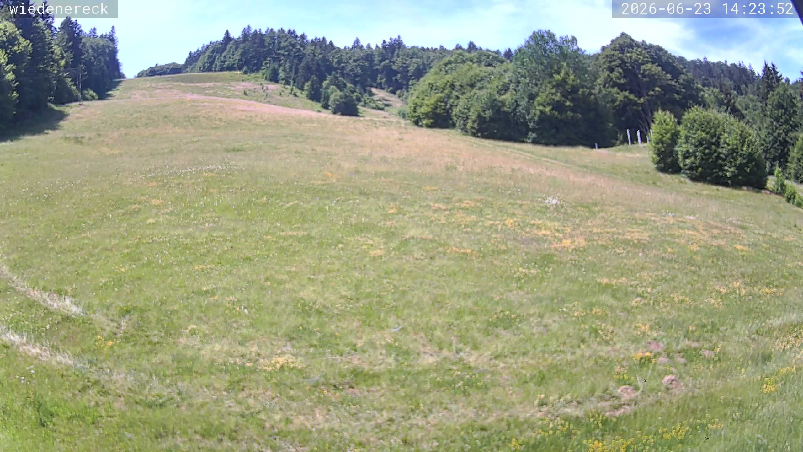 Archiv Foto Webcam Münstertal-Wieden: Wiedenereck Skilift