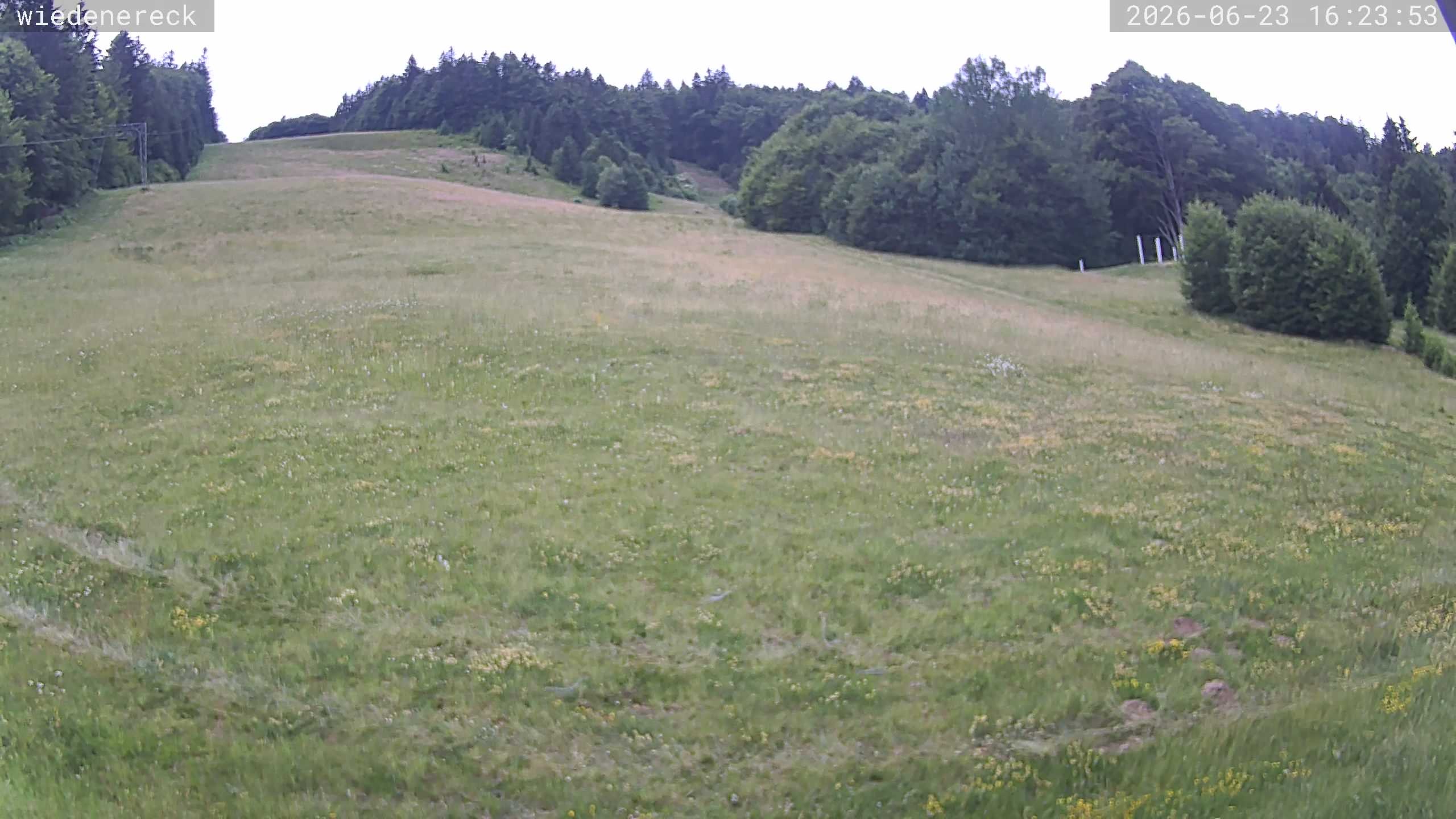 Archiv Foto Webcam Münstertal-Wieden: Wiedenereck Skilift