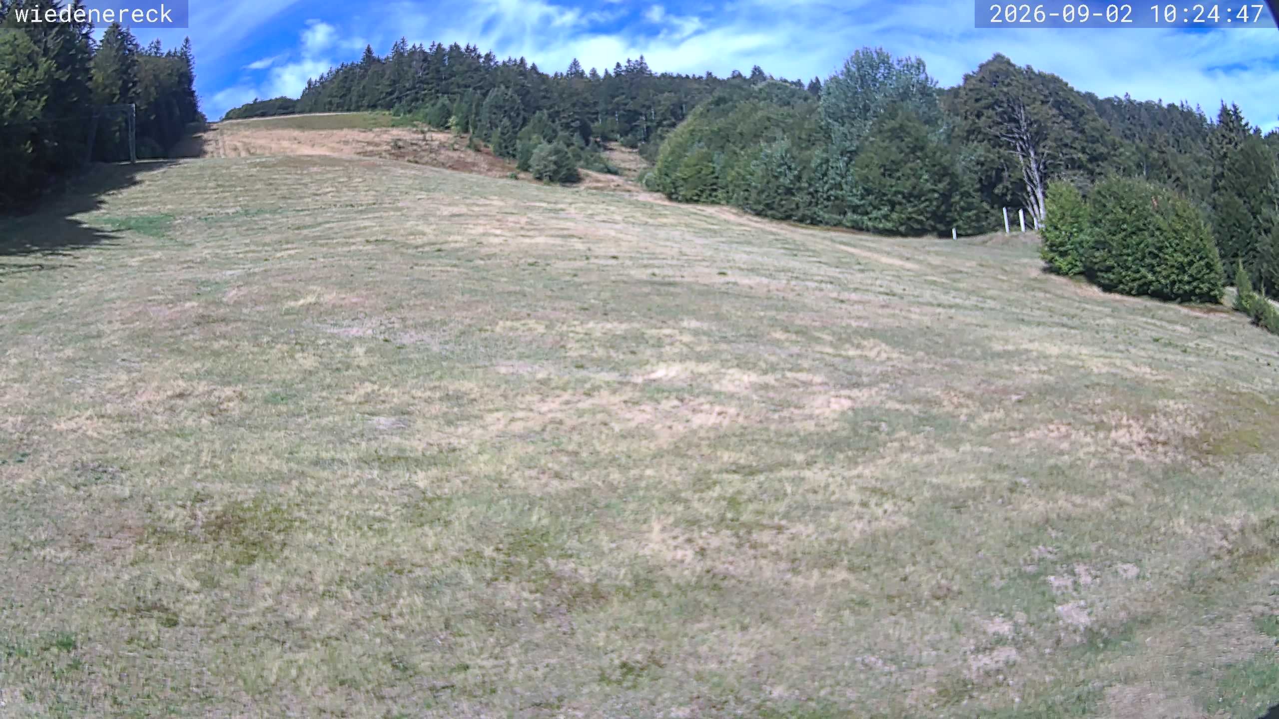 Archiv Foto Webcam Münstertal-Wieden: Wiedenereck Skilift