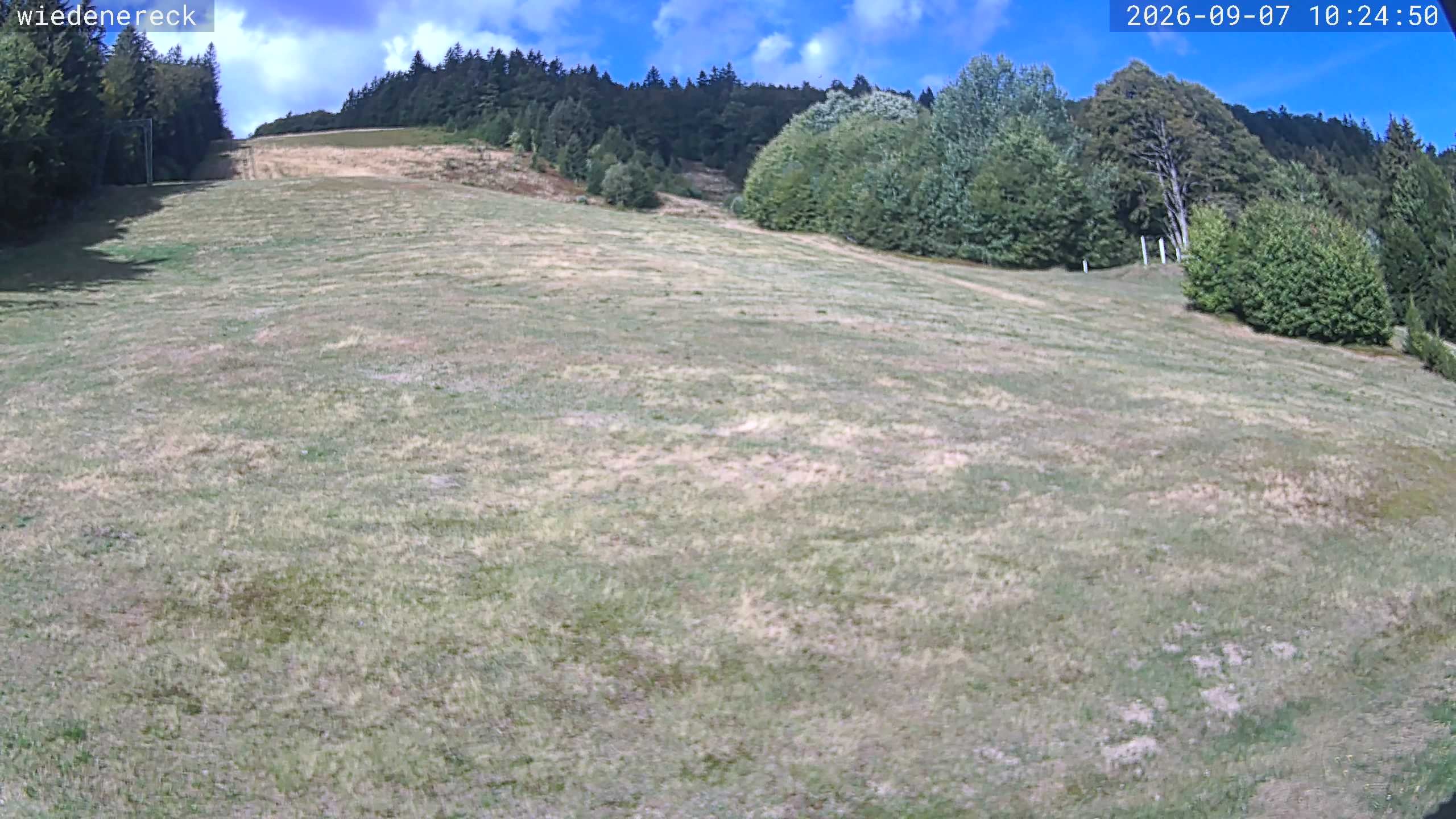 Archiv Foto Webcam Münstertal-Wieden: Wiedenereck Skilift