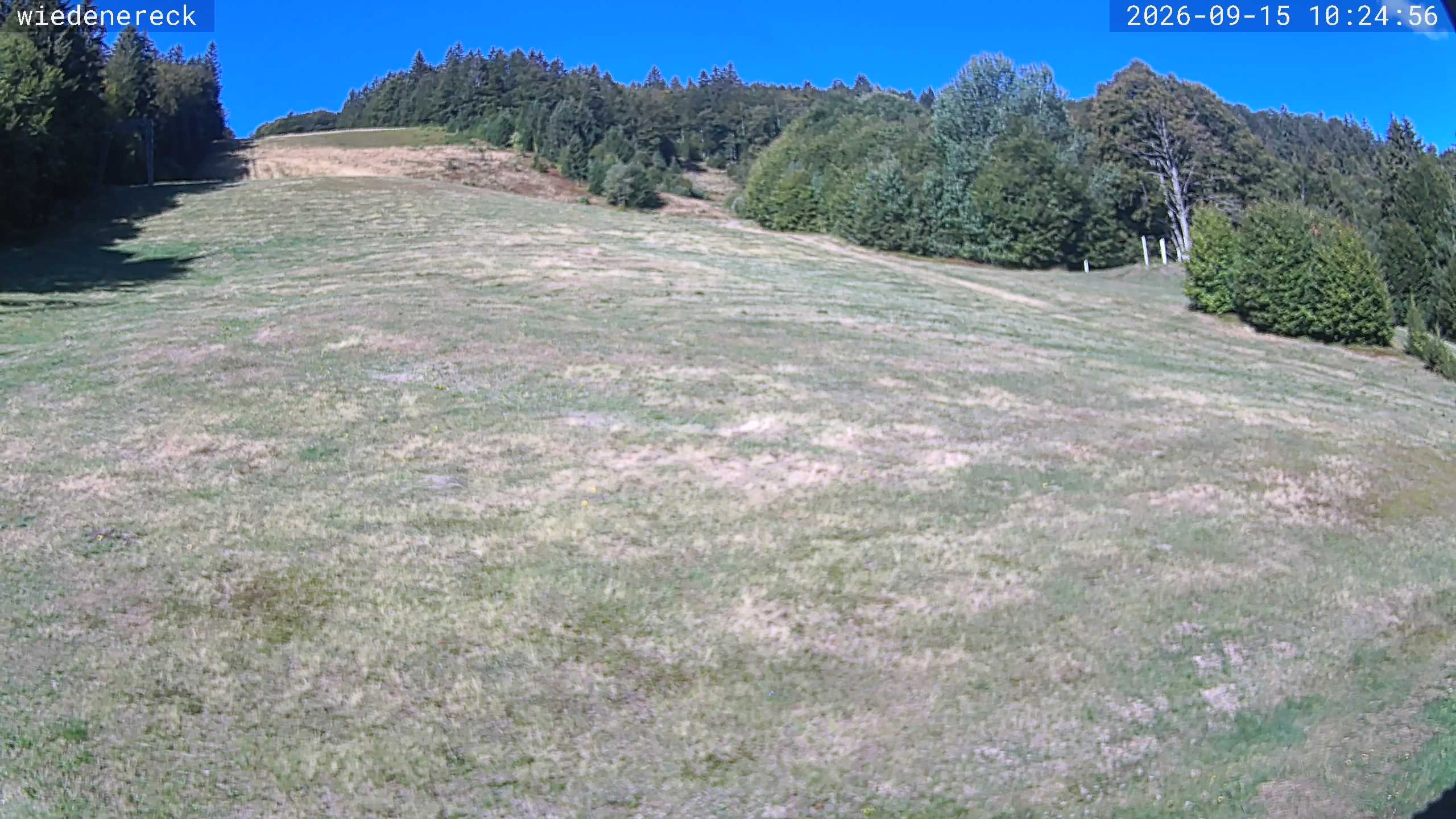 Archiv Foto Webcam Münstertal-Wieden: Wiedenereck Skilift