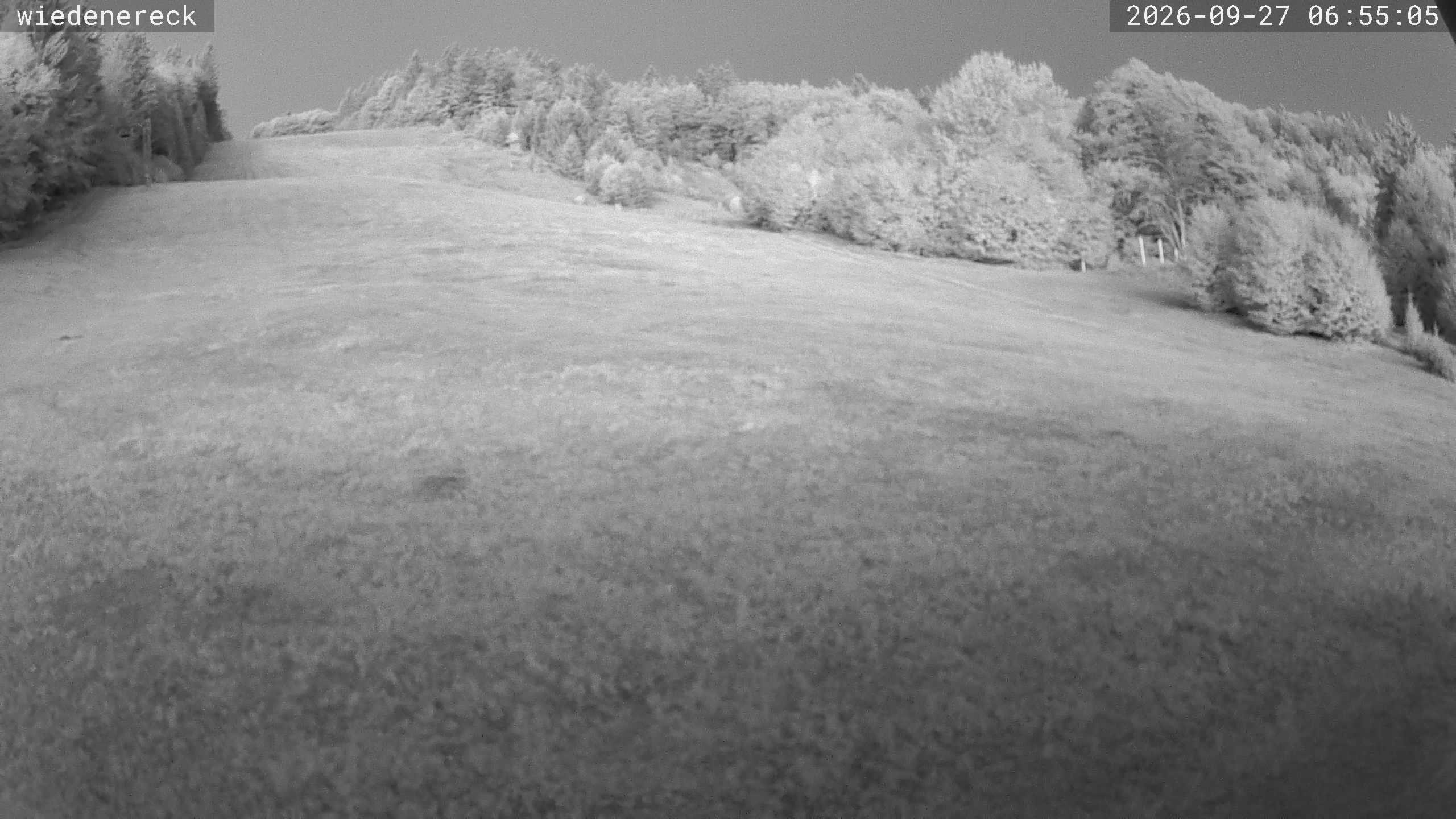 Archiv Foto Webcam Münstertal-Wieden: Wiedenereck Skilift