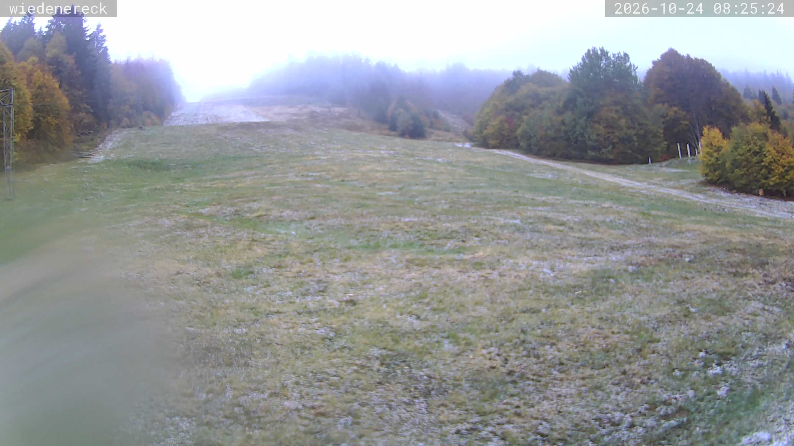 Archived image Webcam Münstertal-Wieden: Wiedenereck lift