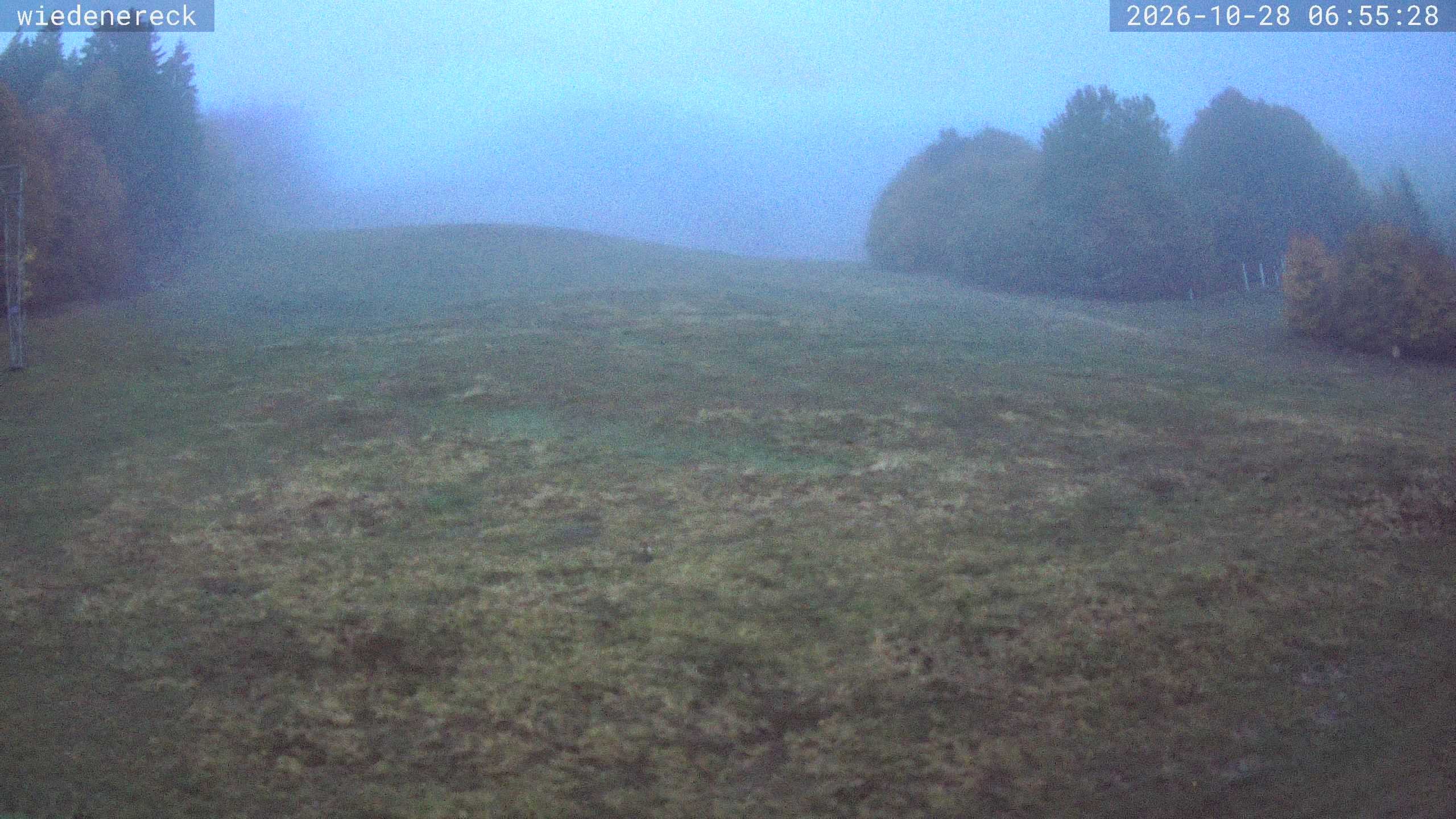 Archiv Foto Webcam Münstertal-Wieden: Wiedenereck Skilift