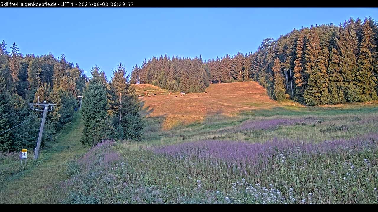 Archived image Webcam Haldenköpfle mountain - Lift 1