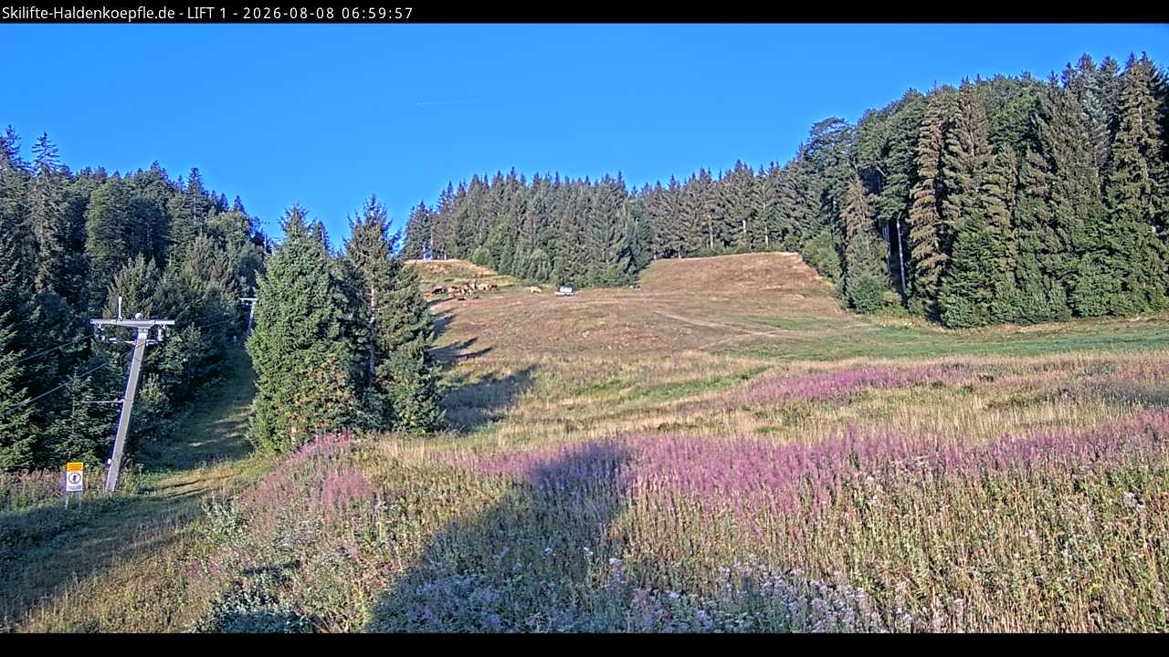Archived image Webcam Haldenköpfle mountain - Lift 1