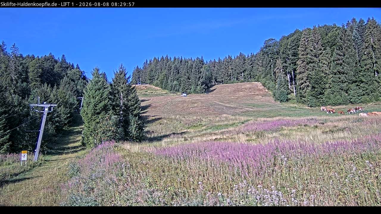 Archived image Webcam Haldenköpfle mountain - Lift 1