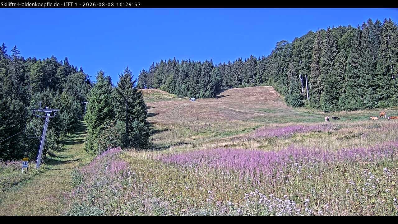 Archived image Webcam Haldenköpfle mountain - Lift 1