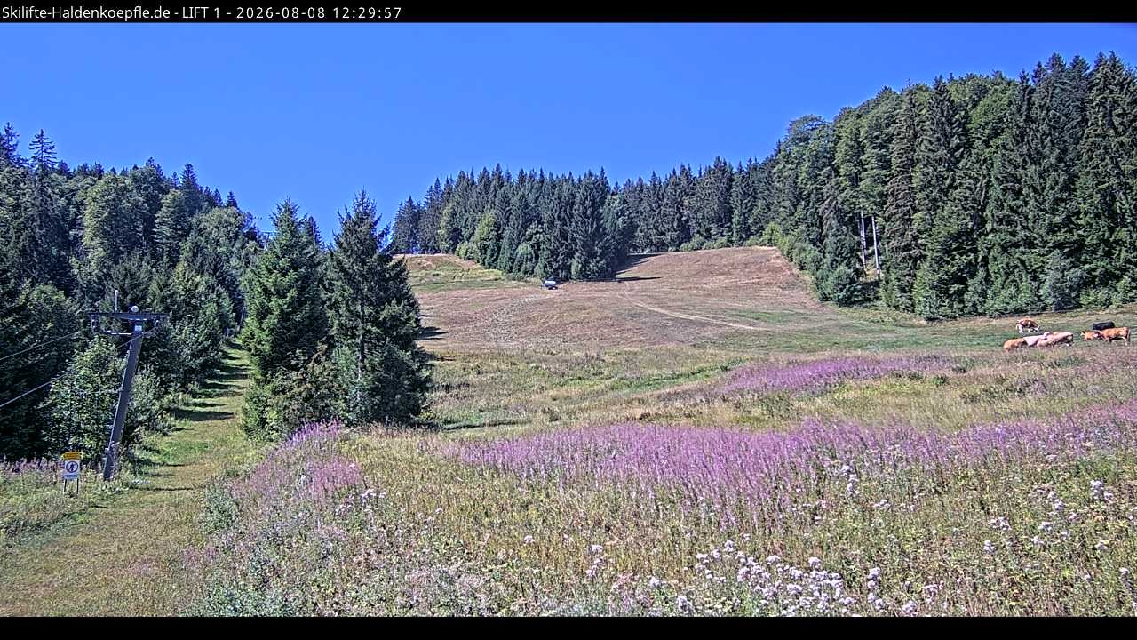 Archived image Webcam Haldenköpfle mountain - Lift 1